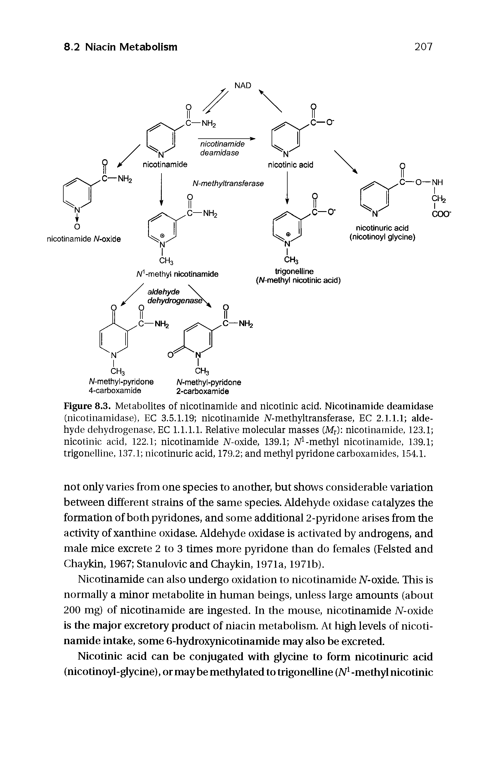 Figure 8.3. Metabolites of nicotinamide and nicotinic acid. Nicotinamide deamidase (nicotinamidase), EC 3.5.1.19 nicotinamide Af-methyltransferase, EC 2.1.1.1 aldehyde dehydrogenase, EC 1.1.1.1. Relative molecular masses (Mr) nicotinamide, 123.1 nicotinic acid, 122.1 nicotinamide JV-oxide, 139.1 Af -methyl nicotinamide, 139.1 trigonelline, 137.1 nicotinuric acid, 179.2 and methyl pyridone carboxamides, 154.1.