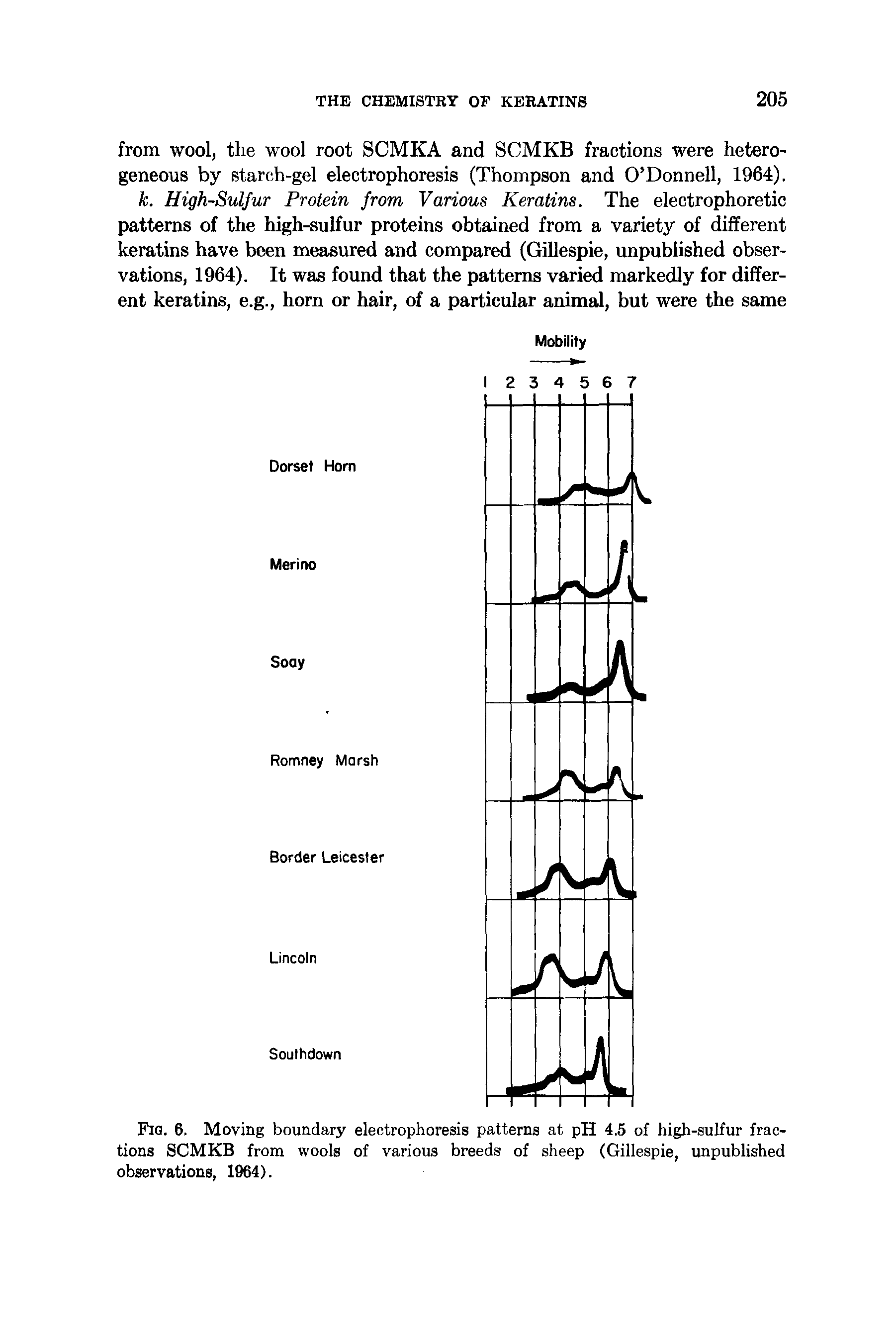 Fig. 6. Moving boundary electrophoresis patterns at pH 4.5 of high-sulfur fractions SCMKB from wools of various breeds of sheep (Gillespie, unpublished observations, 1964).