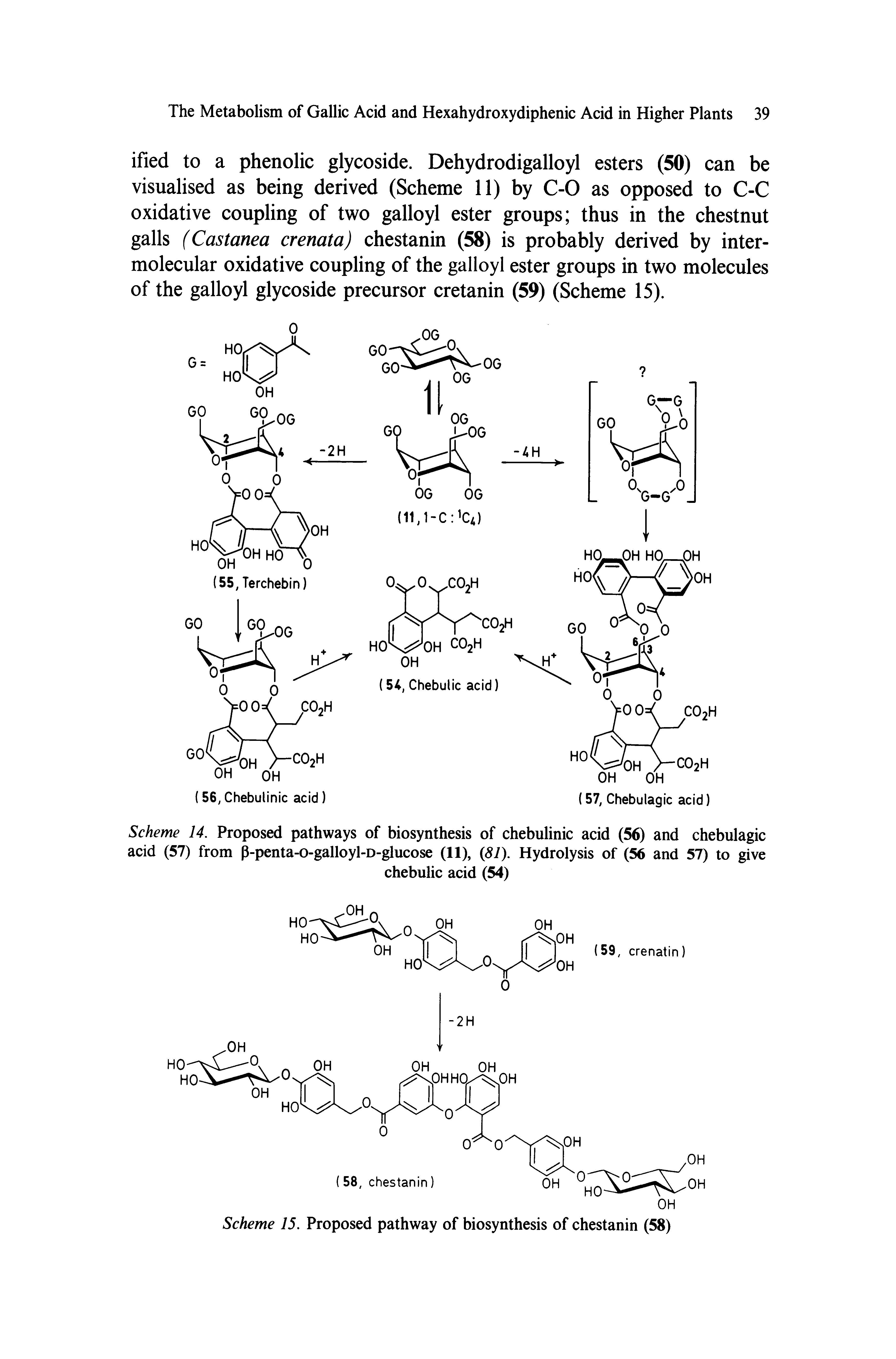 Scheme 14. Proposed pathways of biosynthesis of chebulinic acid (56) and chebulagic acid (57) from P-penta-o-galloyl-D-glucose (11), 81). Hydrolysis of (56 and 57) to give...