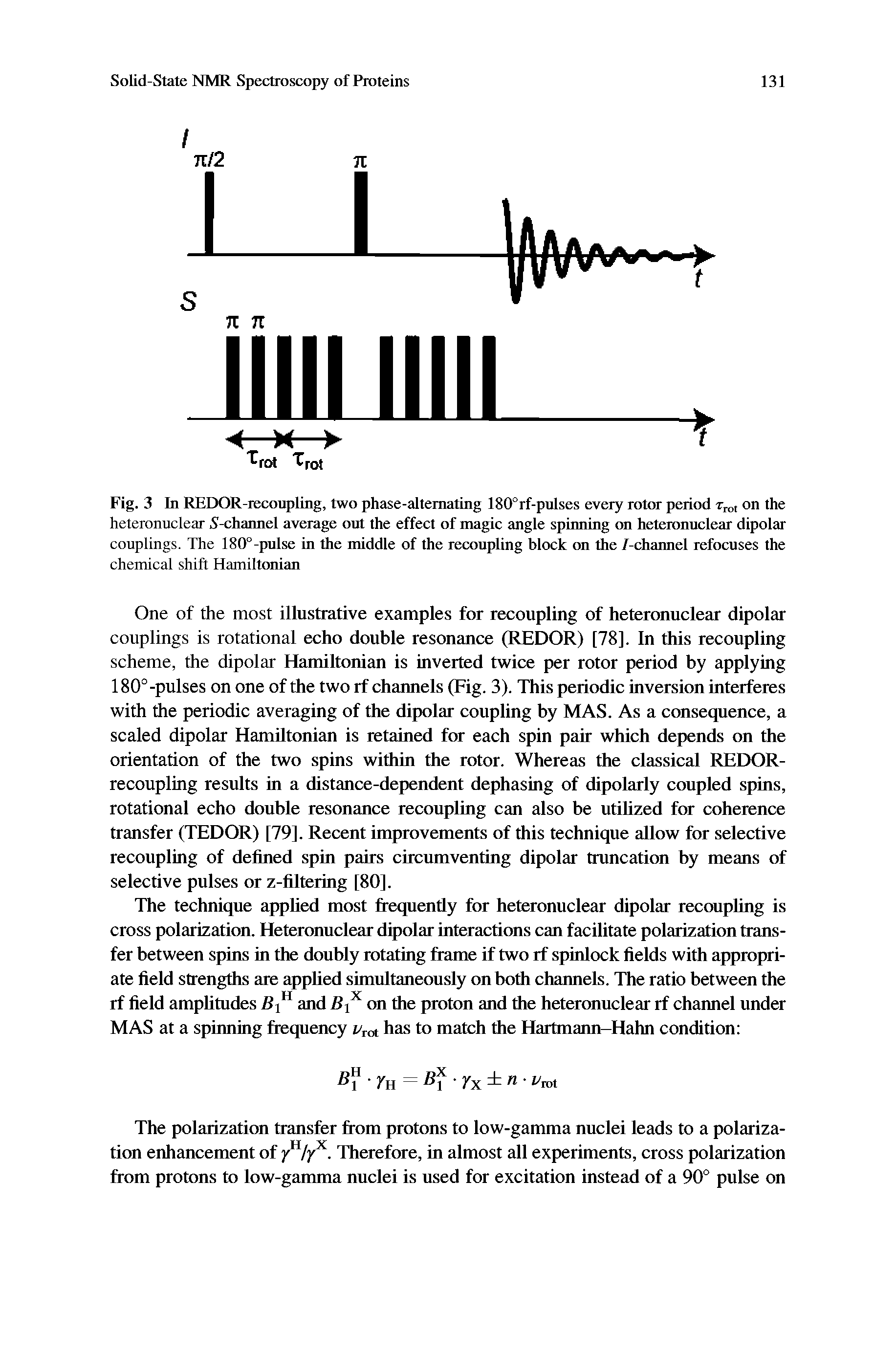 Fig. 3 In REDOR-recoupling, two phase-alternating 180°rf-pulses every rota- period on the heteronuclear 5-channel average ont the effect of magic angle spinning on heteronuclear dipolar couplings. The 180°-pulse in the middle of the recoupling block on the /-channel refocuses the...
