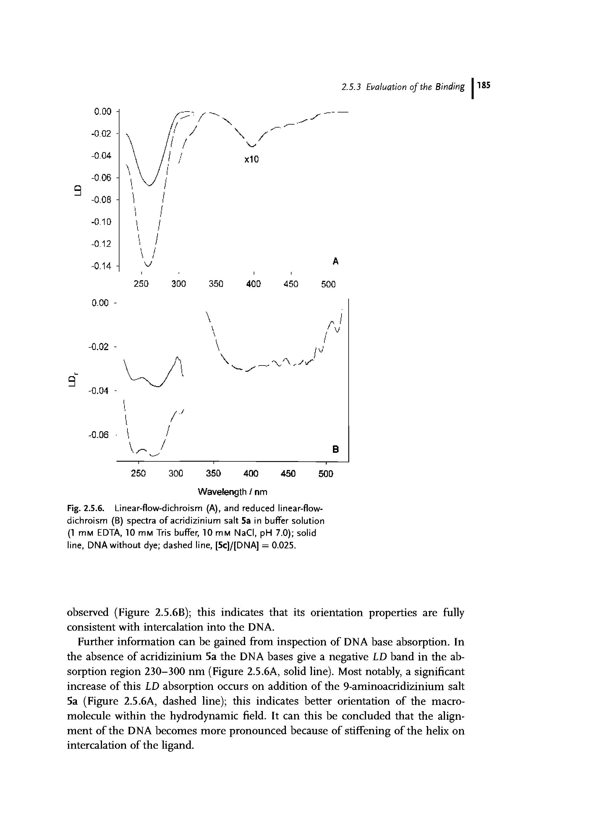 Fig. 2.5.6. Linear-flow-dichroism (A), and reduced linear-flow-dichroism (B) spectra of acridizinium salt 5a in buffer solution (1 mM EDTA, 10 mM Tris buffer, 10 mM NaCI, pH 7.0) solid line, DNA without dye dashed line, [5c]/[DNA] = 0.025.