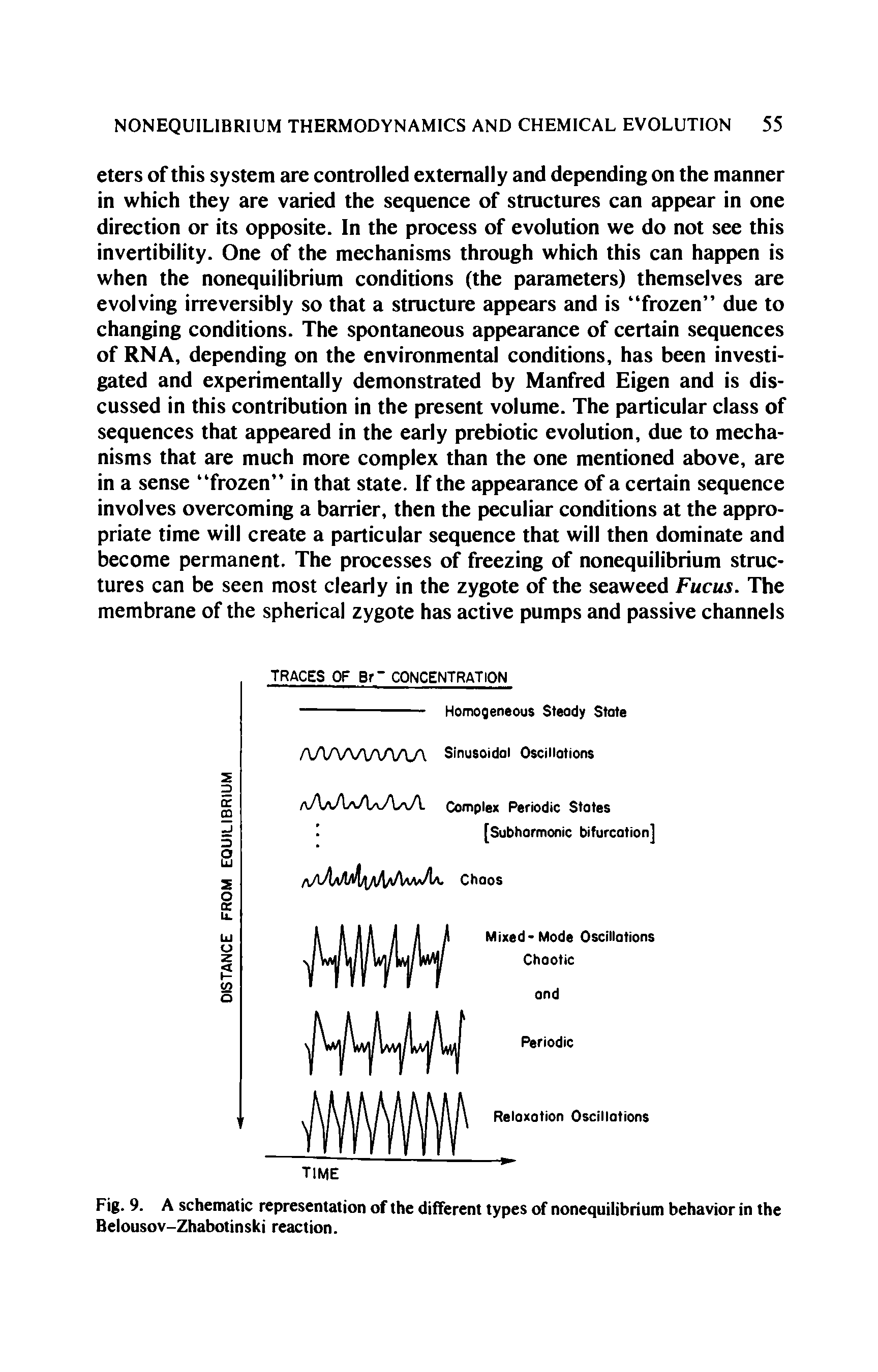 Fig. 9. A schematic representation of the different types of nonequilibrium behavior in the Belousov-Zhabotinski reaction.