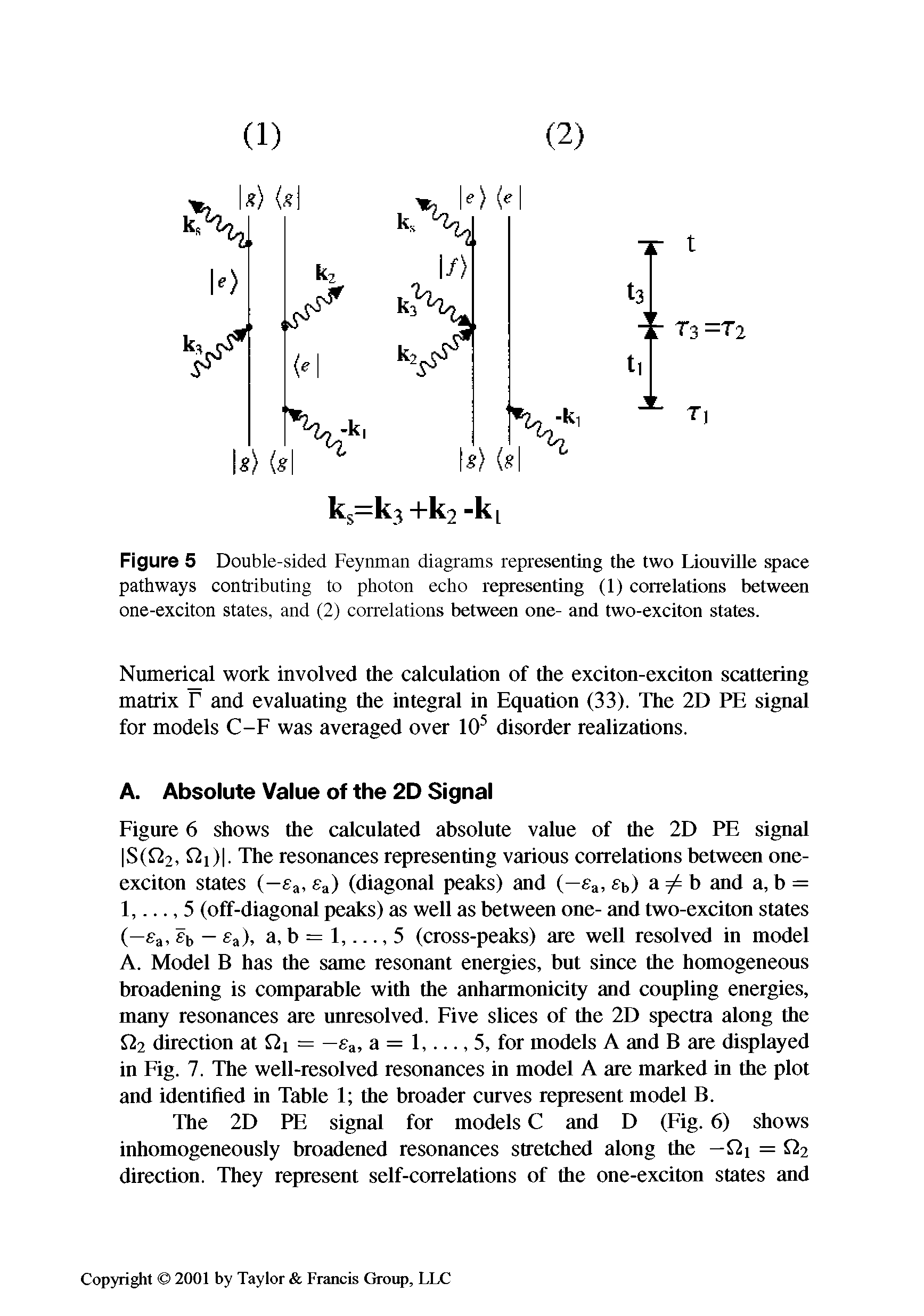 Figure 5 Double-sided Feynman diagrams representing the two Liouville space pathways contributing to photon echo representing (1) correlations between one-exciton states, and (2) correlations between one- and two-exciton states.