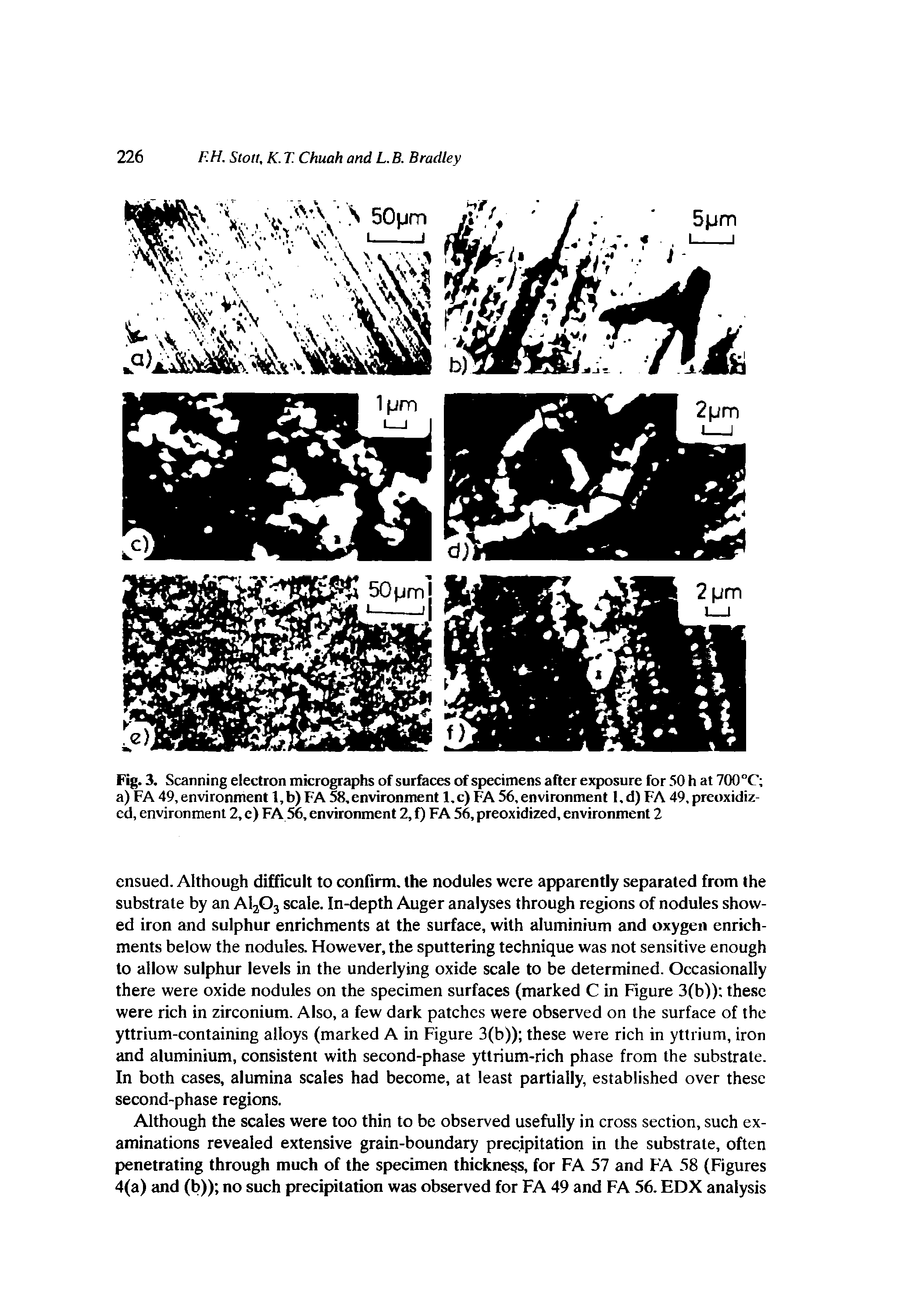 Fig. 3. Scanning electron micrographs of surfaces of specimens after exposure for 50 h at 700°C a) FA 49, environment 1, b) FA 58, environment 1. c) FA 56, environment 1, d) FA 49, preoxidized, environment 2, e) FA 56, environment 2, f) FA 56, preoxidized, environment 2...