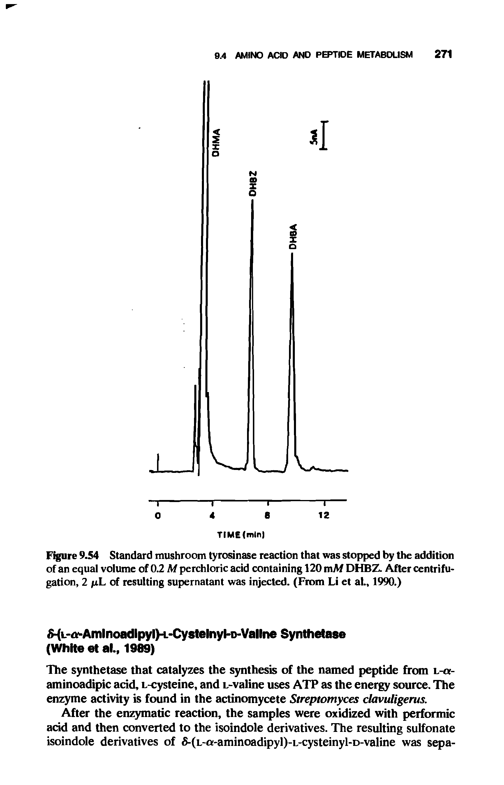 Figure 9.54 Standard mushroom tyrosinase reaction that was stopped by the addition of an equal volume of 0.2 M perchloric acid containing 120 mAf DHBZ. After centrifugation, 2 fiL of resulting supernatant was injected. (From Li et at., 1990.)...