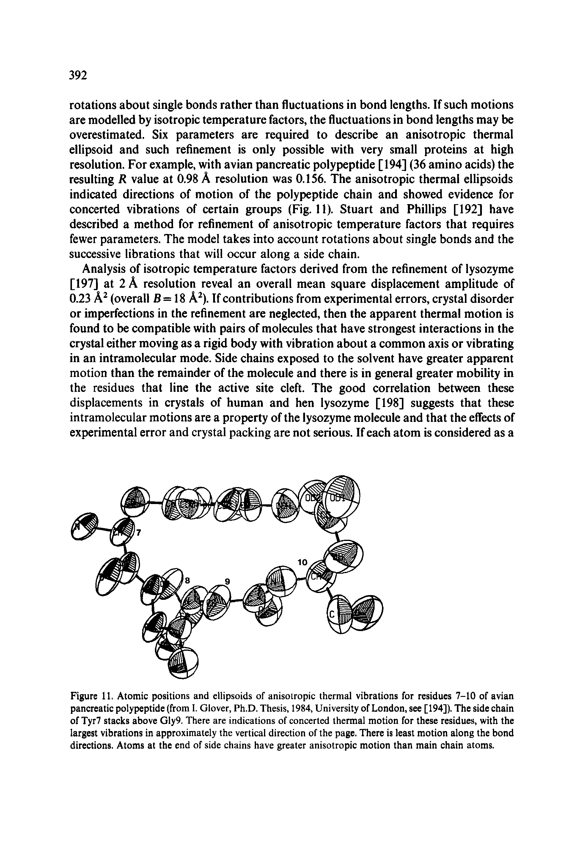 Figure 11, Atomic positions and ellipsoids of anisotropic thermal vibrations for residues 7-10 of avian pancreatic polypeptide (from 1. Glover, Ph.D. Thesis, 1984, University of London, see [194]). The side chain of Tyr7 stacks above Gly9. There are indications of concerted thermal motion for these residues, with the largest vibrations in approximately the vertical direction of the page. There is least motion along the bond directions. Atoms at the end of side chains have greater anisotropic motion than main chain atoms.