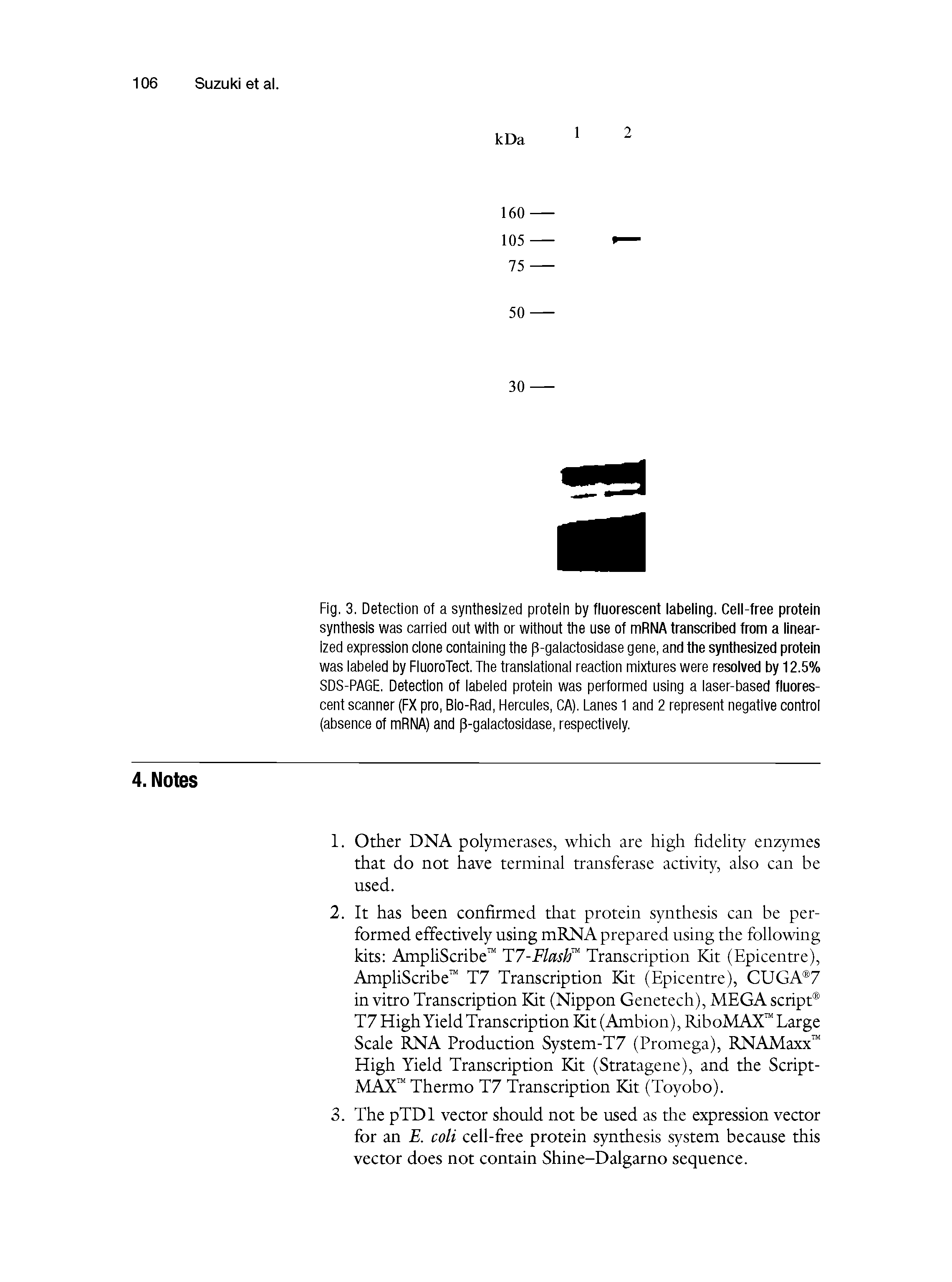 Fig. 3. Detection of a synthesized protein by fluorescent labeling. Cell-free protein synthesis was carried out with or without the use of mRNA transcribed from a linearized expression done containing the p-gaiactosidase gene, and the synthesized protein was labeled by FluoroTect. The translational reaction mixtures were resolved by 12.5% SDS-PAGE. Detection of labeled protein was performed using a laser-based fluorescent scanner (FX pro, Bio-Rad, Hercules, CA). Lanes 1 and 2 represent negative control (absence of mRNA) and p-galactosidase, respectively.