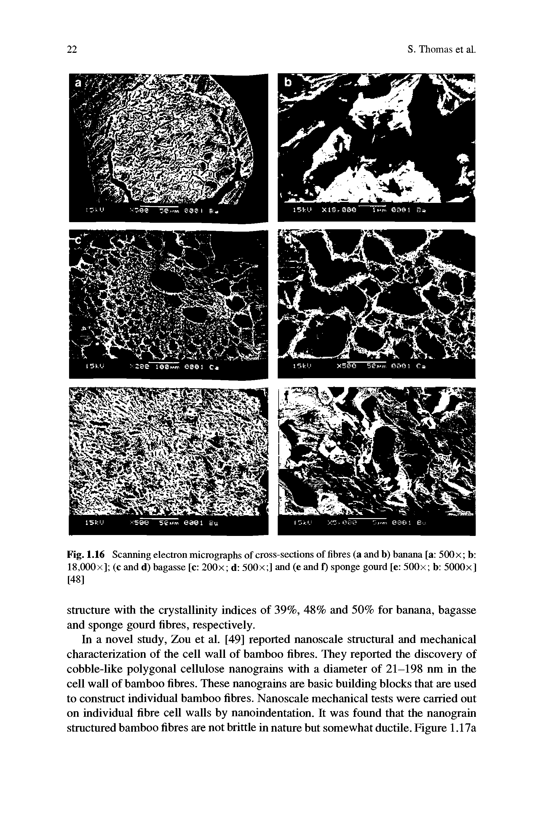 Fig. 1.16 Scanning electron micrographs of cross-sections of fibres (a and b) banana [a 500x b 18,000x] (C and d) bagasse [c 200x d 500x ] and (e and f) sponge gourd [e 500x b 5000x] [48]...