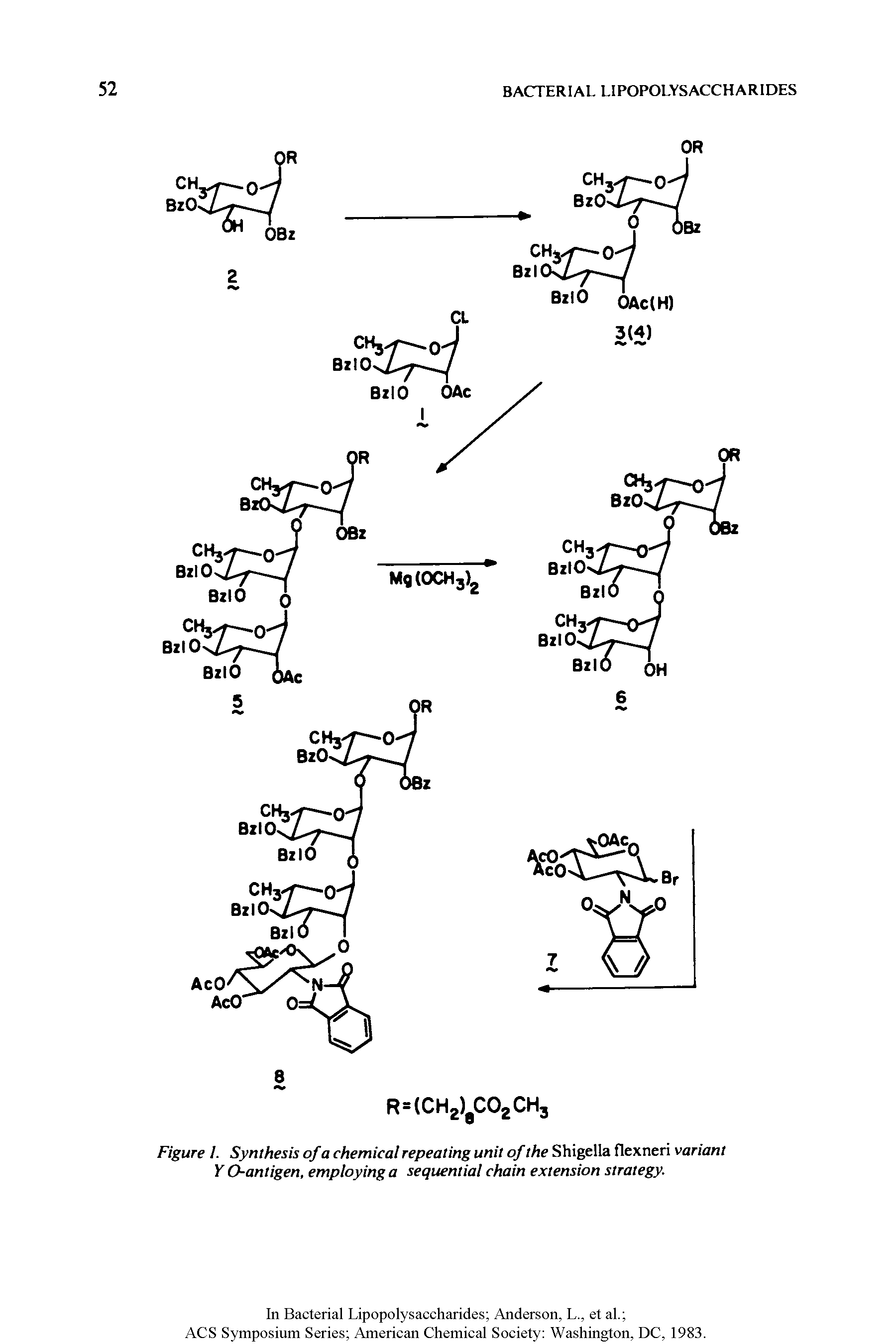 Figure 1. Synthesis of a chemical repeating unit of the Shigella flexneri variant Y O-antigen, employing a sequential chain extension strategy.