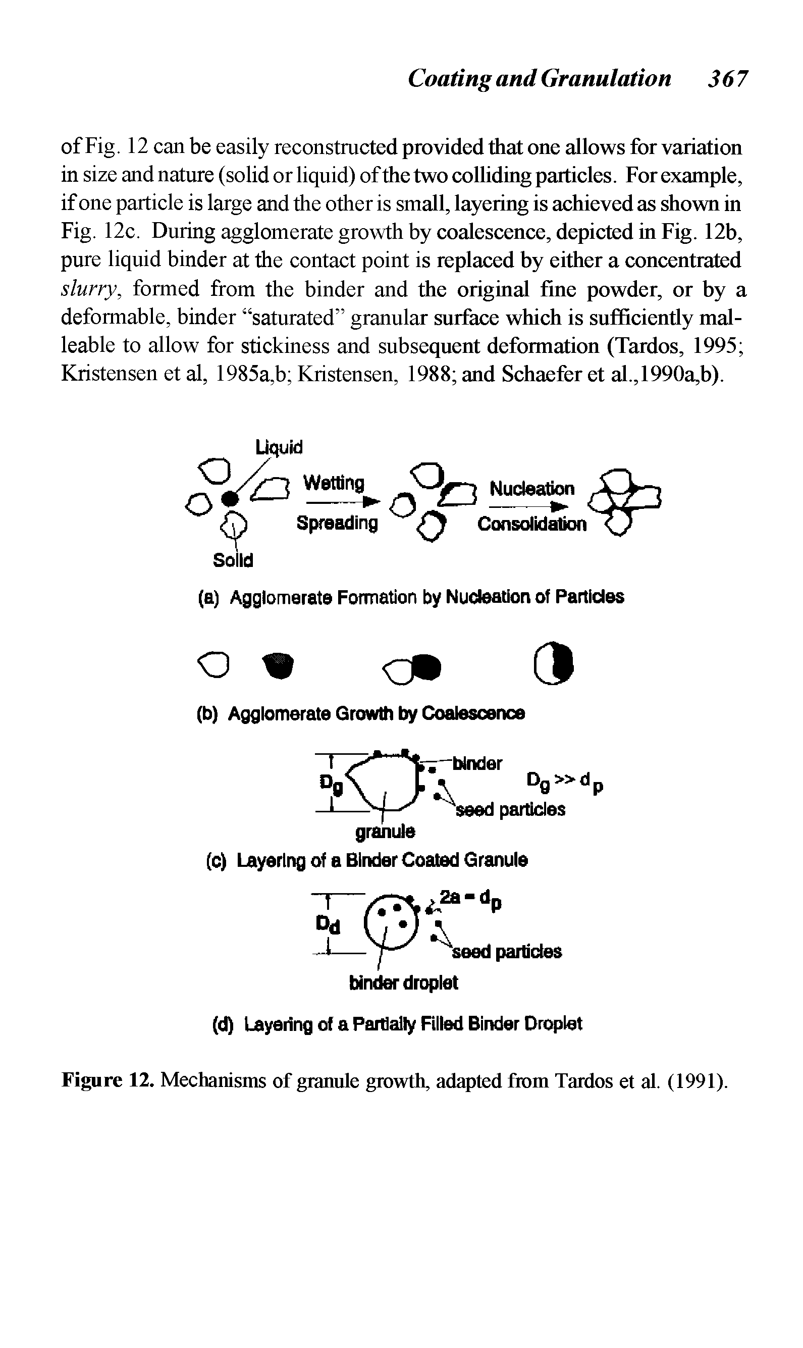 Figure 12. Mechanisms of granule growth, adapted from Tardos et al. (1991).