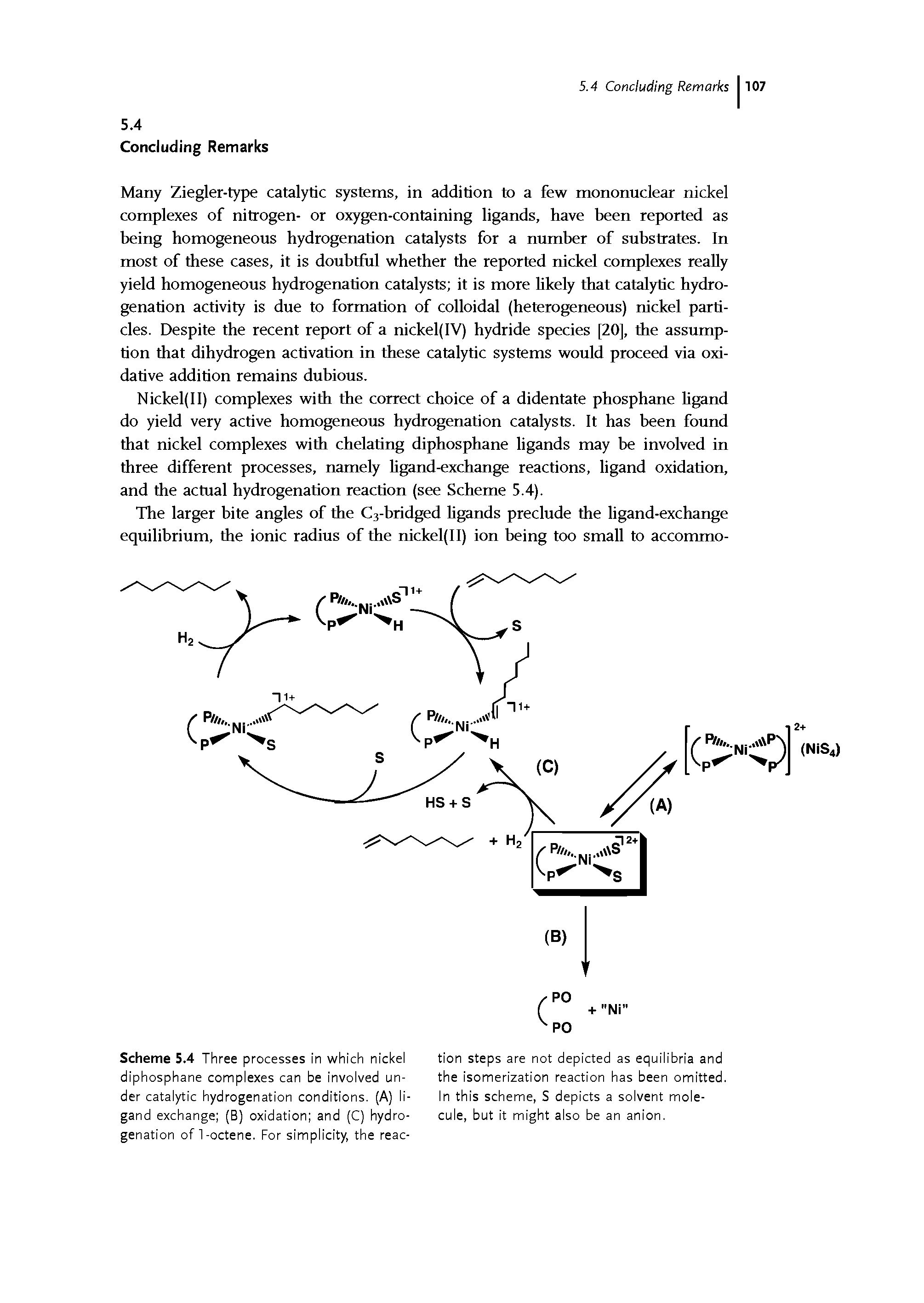 Scheme 5.4 Three processes in which nickel diphosphane complexes can be involved under catalytic hydrogenation conditions. (A) ligand exchange (B) oxidation and (C) hydrogenation of 1-octene. For simplicity, the reac-...