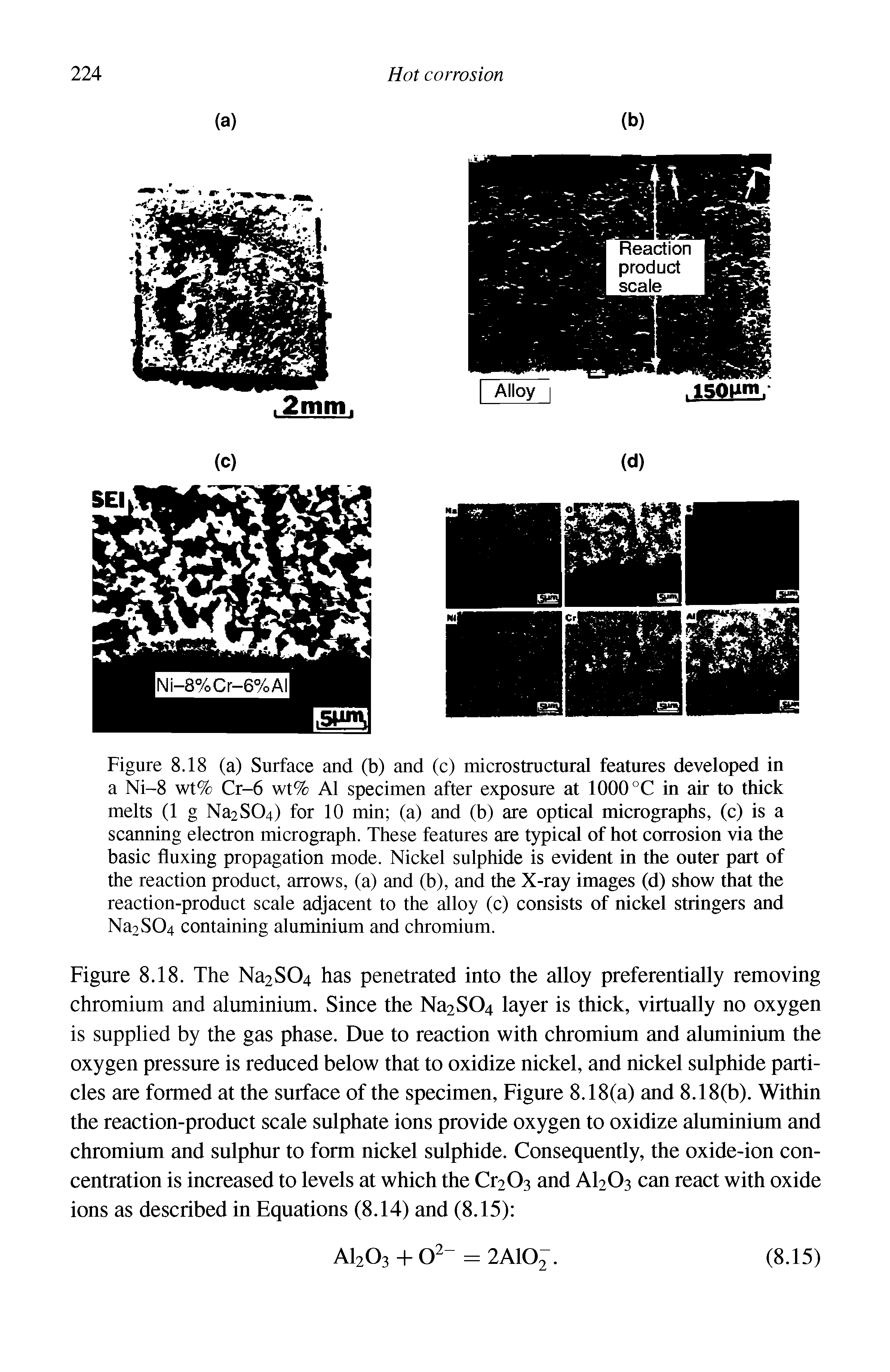 Figure 8.18. The Na2S04 has penetrated into the alloy preferentially removing chromium and aluminium. Since the Na2S04 layer is thick, virtually no oxygen is supplied by the gas phase. Due to reaction with chromium and aluminium the oxygen pressure is reduced below that to oxidize nickel, and nickel sulphide particles are formed at the surface of the specimen. Figure 8.18(a) and 8.18(b). Within the reaction-product scale sulphate ions provide oxygen to oxidize aluminium and chromium and sulphur to form nickel sulphide. Consequently, the oxide-ion concentration is increased to levels at which the Cr203 and AI2O3 can react with oxide ions as described in Equations (8.14) and (8.15) ...