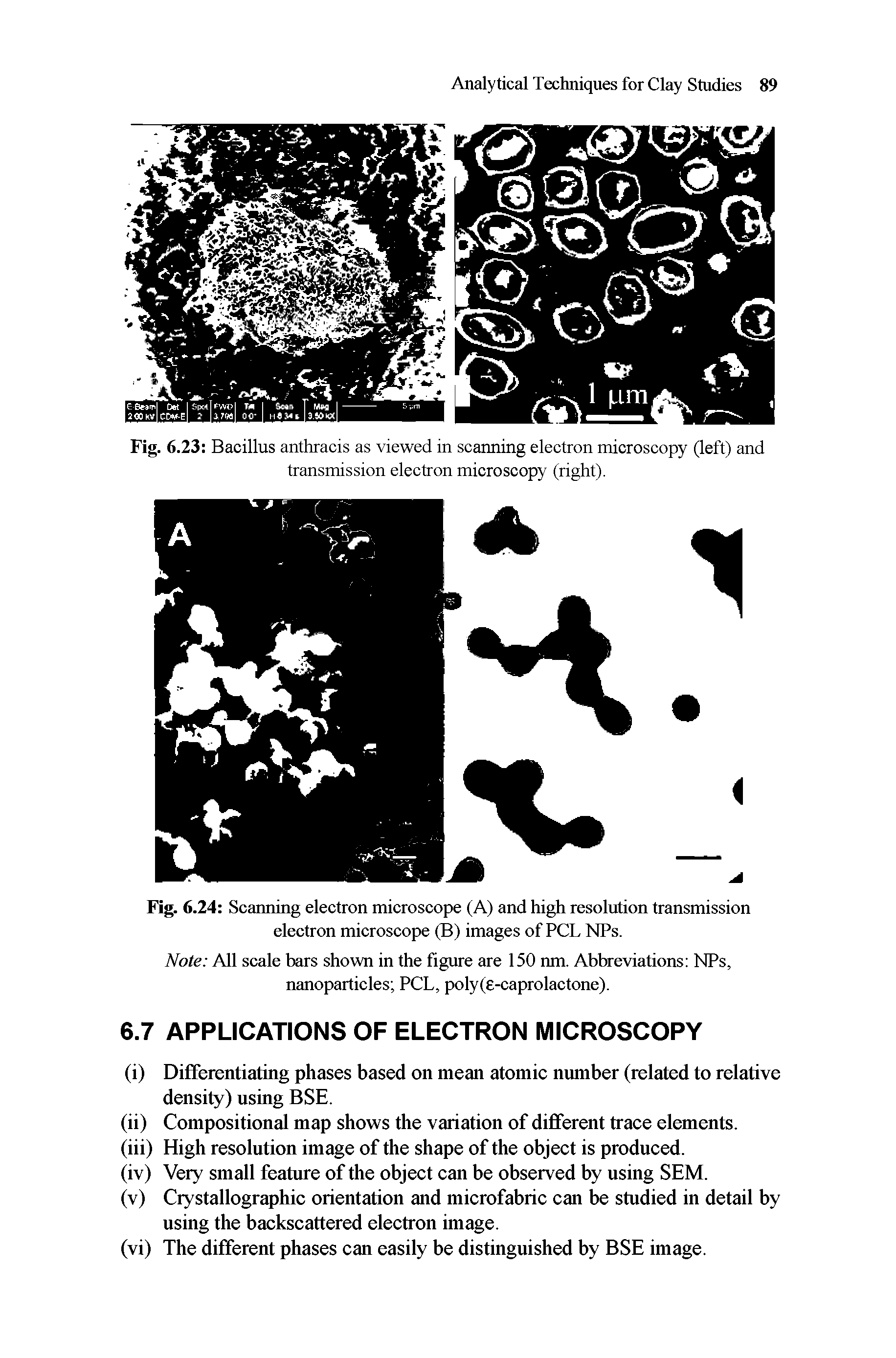 Fig. 6.24 Scanning electron microscope (A) and high resolution transmission electron microscope (B) images of PCL NPs.