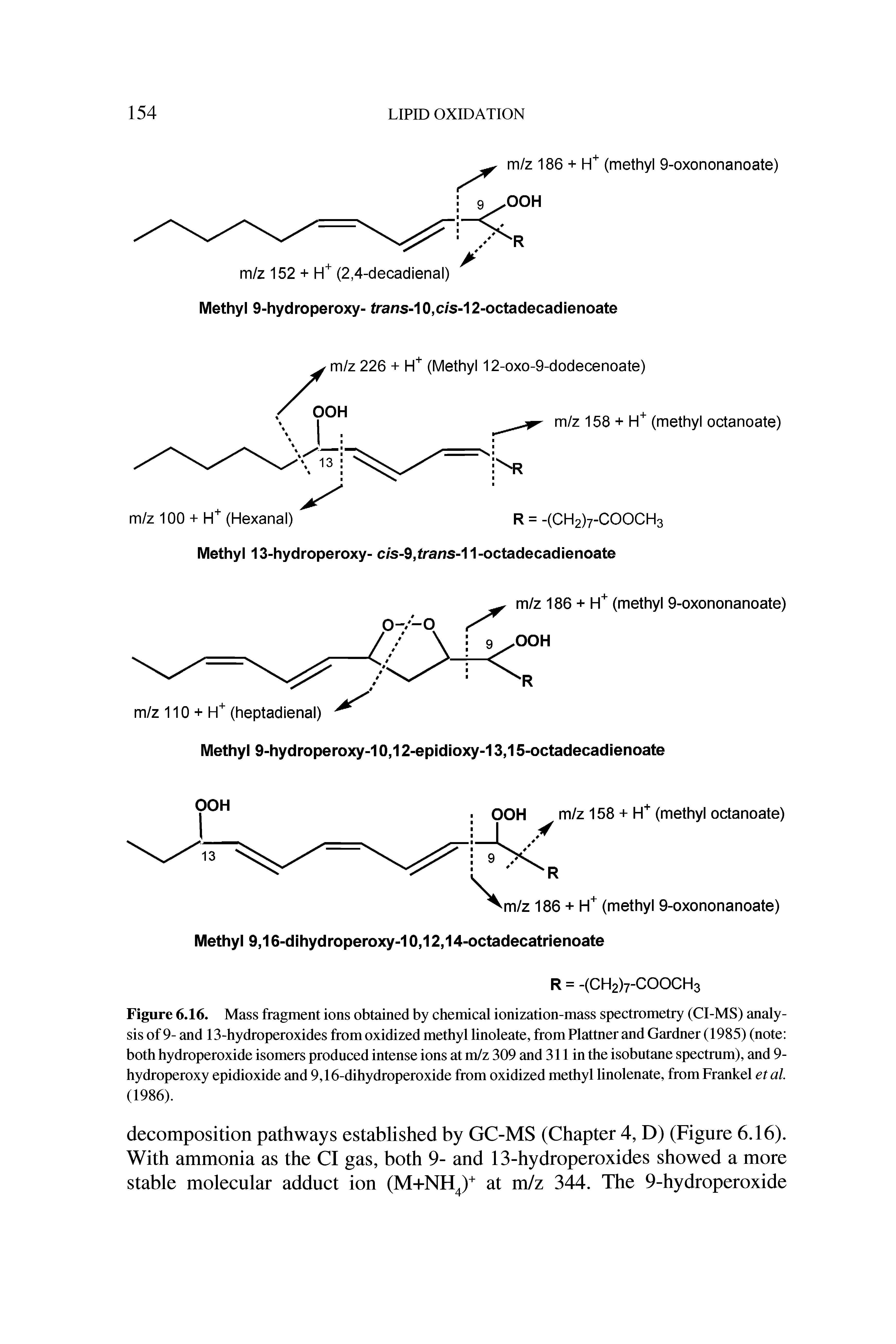 Figure 6.16. Mass fragment ions obtained by chemical ionization-mass spectrometry (CI-MS) analysis of 9- and 13-hydroperoxides from oxidized methyl linoleate, from Plattner and Gardner (1985) (note both hydroperoxide isomers produced intense ions at m/z 309 and 311 in the isobutane spectrum), and 9-hydroperoxy epidioxide and 9,16-dihydroperoxide from oxidized methyl linolenate, fromFrankel etal (1986).