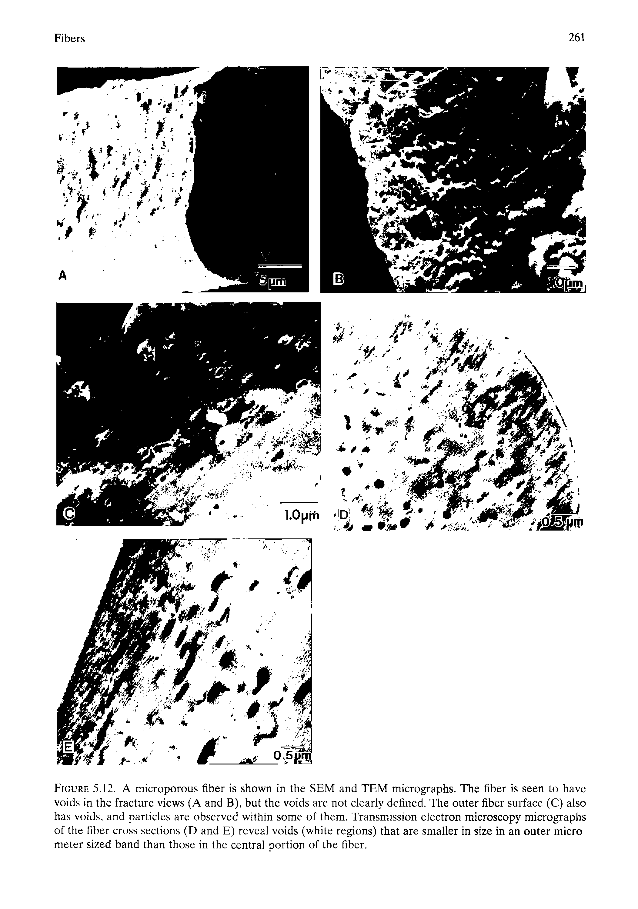 Figure 5.12. A microporous fiber is shown in the SEM and TEM micrographs. The fiber is seen to have voids in the fracture views (A and B), but the voids are not clearly defined. The outer fiber surface (C) also has voids, and particles are observed within some of them. Transmission electron microscopy micrographs of the fiber cross sections (D and E) reveal voids (white regions) that are smaller in size in an outer micrometer sized band than those in the central portion of the fiber.