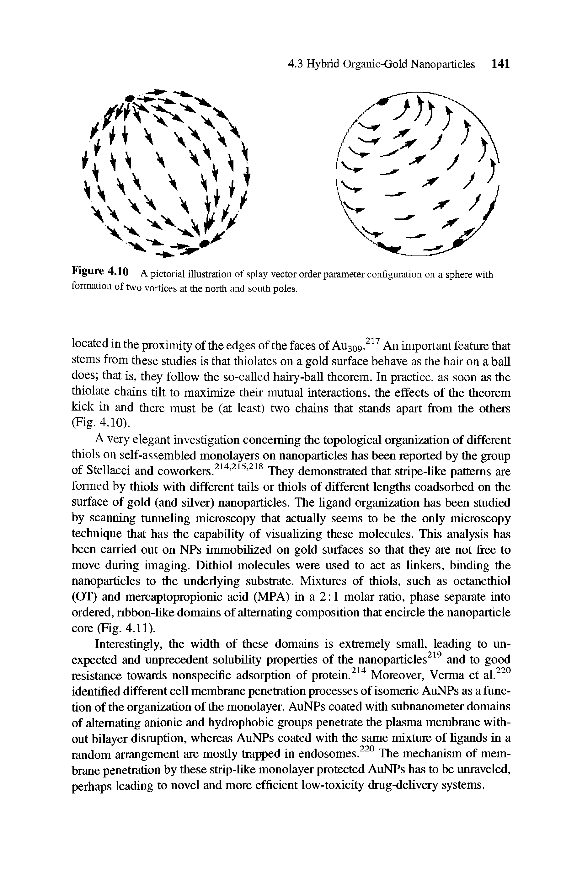 Figure 4.10 A pictorial illustration of splay vector order parameter configuration on a sphere with formation of two vortices at the north and south poles.