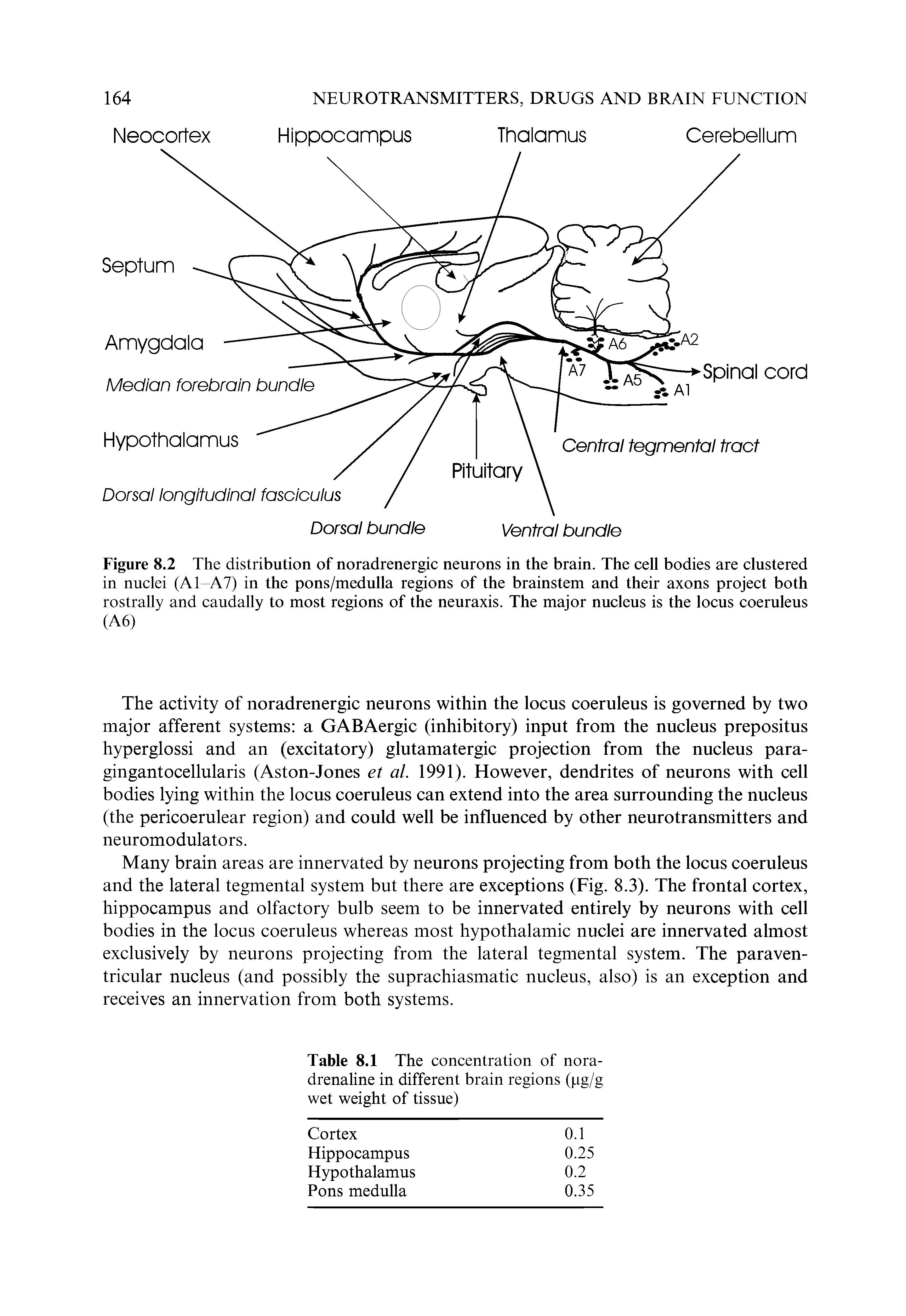 Figure 8.2 The distribution of noradrenergic neurons in the brain. The cell bodies are clustered in nuclei (A1 A7) in the pons/medulla regions of the brainstem and their axons project both rostrally and caudally to most regions of the neuraxis. The major nucleus is the locus coeruleus...