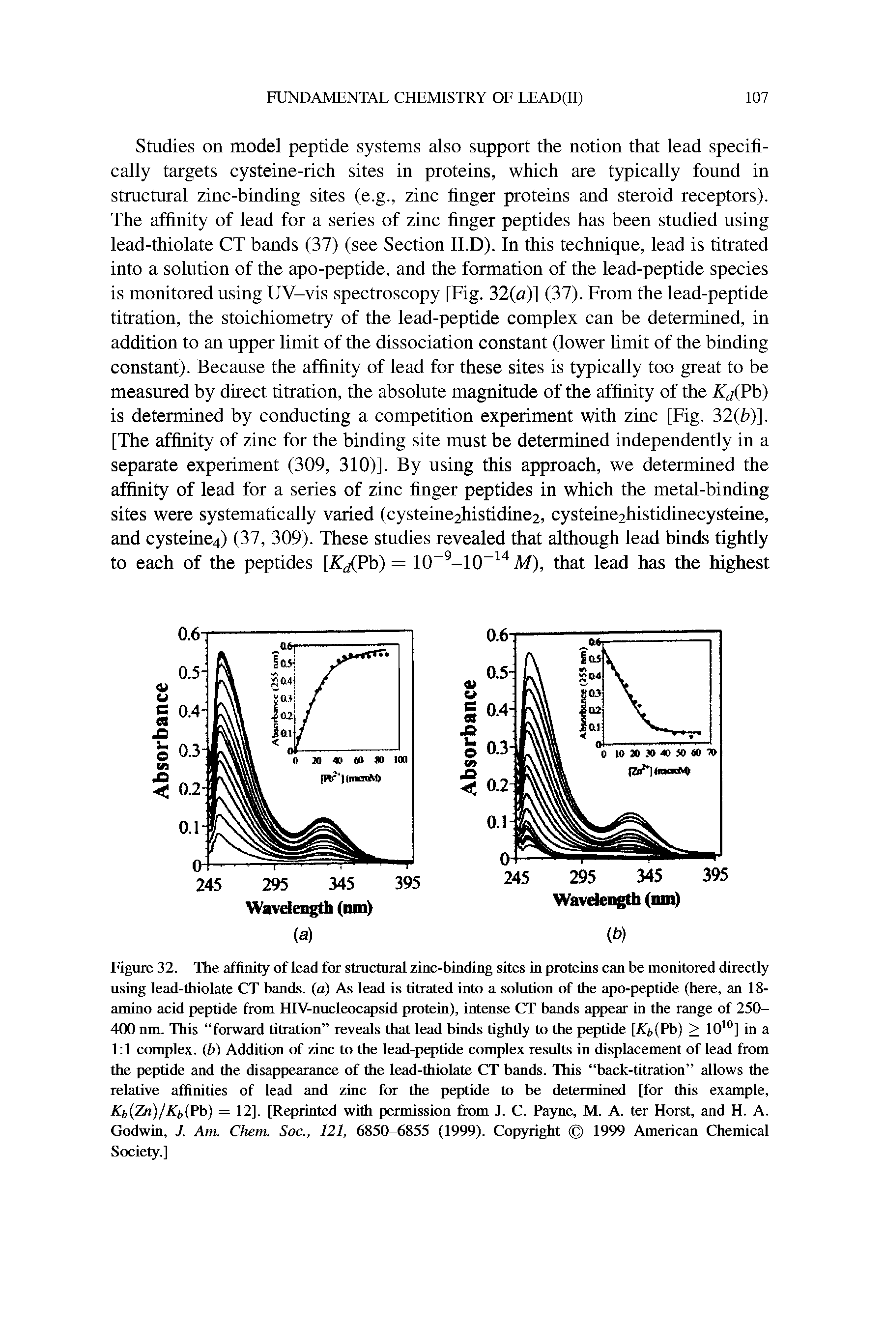 Figure 32. The affinity of lead for structural zinc-binding sites in proteins can be monitored directly using lead-thiolate CT bands, (a) As lead is titrated into a solution of the apo-peptide (here, an 18-amino acid peptide from HIV-nucleocapsid protein), intense CT bands appear in the range of 250-4(X) nm. This forward titration reveals that lead binds tightly to the peptide [/ (Pb) > 10 ] in a 1 1 complex, b) Addition of zinc to the lead-peptide complex results in displacement of lead from the peptide and the disappearance of the lead-thiolate CT bands. This back-titration allows the relative affinities of lead and zinc for the peptide to be determined [for this example, KbiZn)/Kiyi h) = 12]. [Reprinted with permission from J. C. Payne, M. A. ter Horst, and H. A. Godwin, J. Am. Chem. Soc., 121, 6850-6855 (1999). Copyright 1999 American Chemical Society.]...