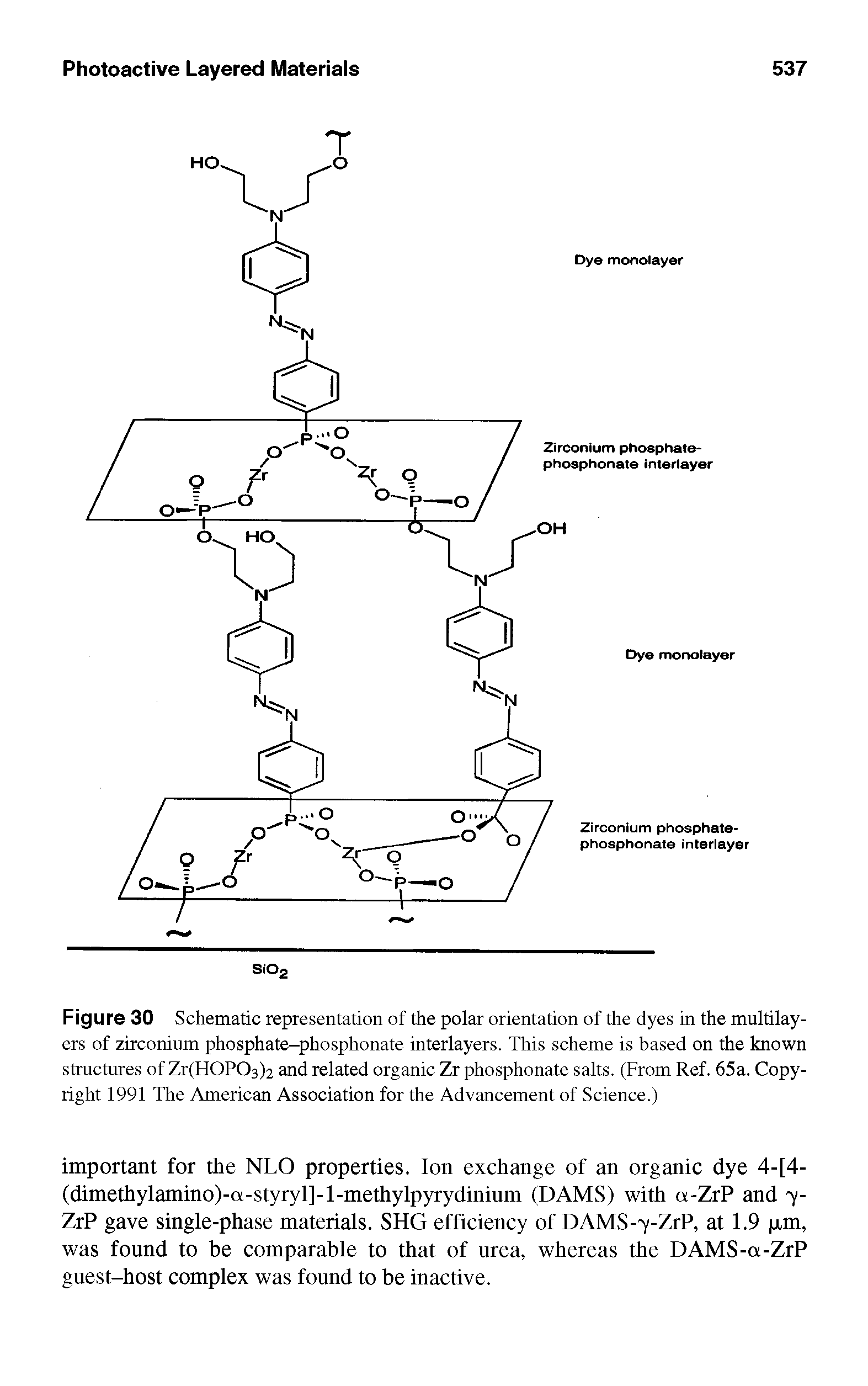 Figure 30 Schematic representation of the polar orientation of the dyes in the multilayers of zirconium phosphate-phosphonate interlayers. This scheme is based on the known structures of Zr(H0P03)2 and related organic Zr phosphonate salts. (From Ref. 65a. Copyright 1991 The American Association for the Advancement of Science.)...