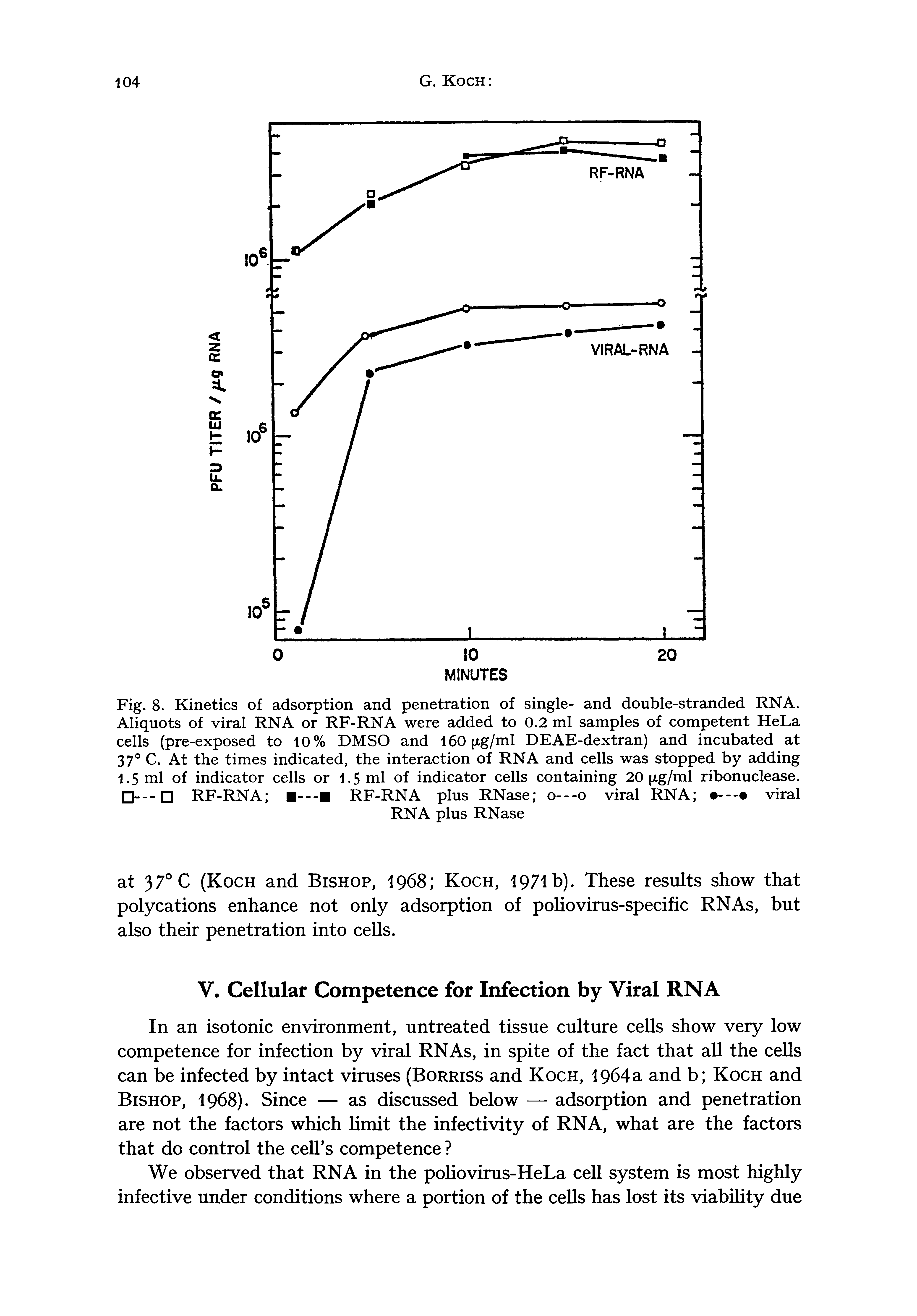 Fig. 8. Kinetics of adsorption and penetration of single- and double-stranded RNA. Aliquots of viral RNA or RF-RNA were added to 0.2 ml samples of competent HeLa cells (pre-exposed to 10% DMSO and 160 xg/ml DEAE-dextran) and incubated at 37° C. At the times indicated, the interaction of RNA and cells was stopped by adding 1.5 ml of indicator cells or 1.5 ml of indicator cells containing 20 (xg/ml ribonuclease. — RF-RNA RF-RNA plus RNase o---o viral RNA viral...