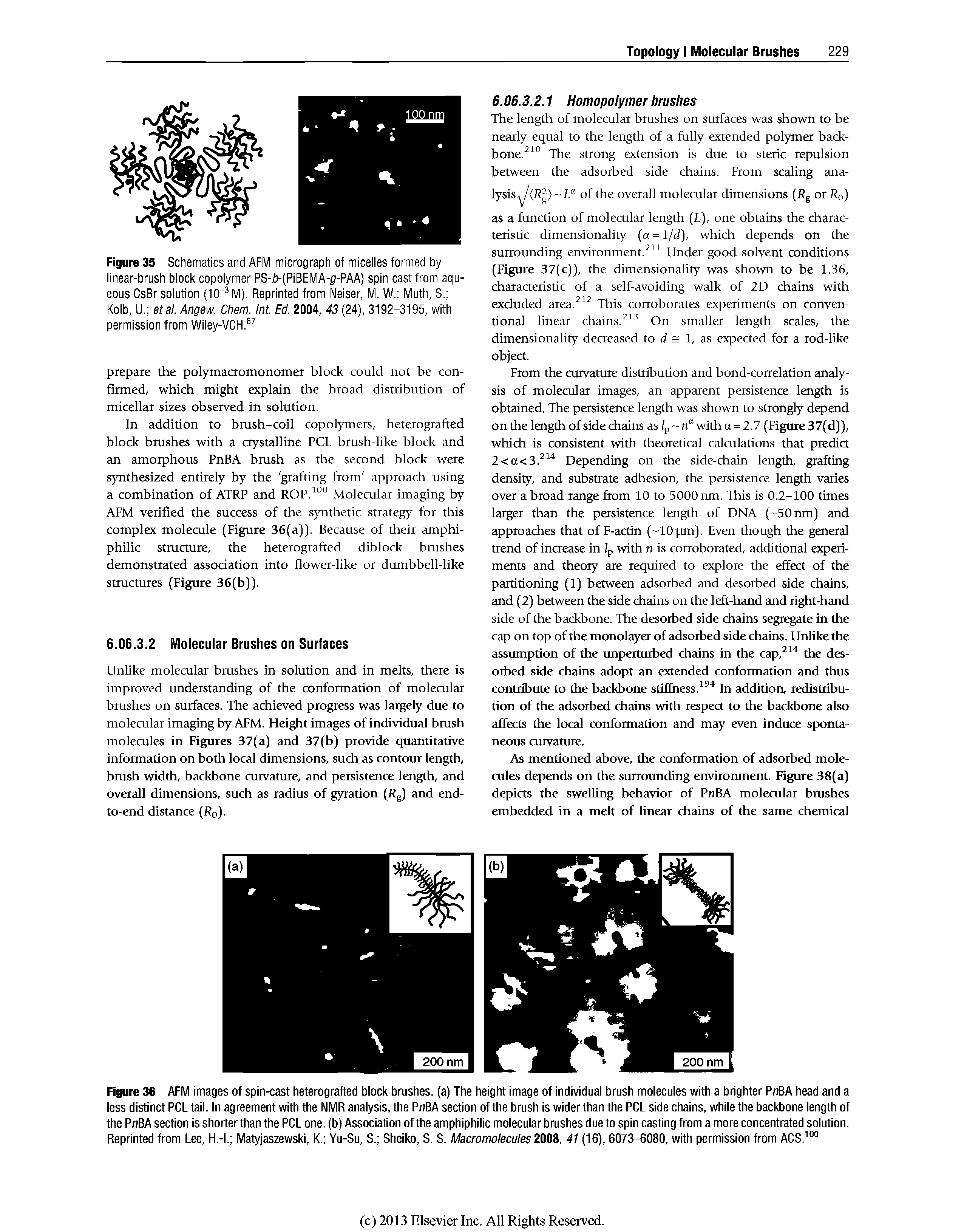 Figure 35 Schematics and AFM micrograph of micelles formed by linear-brush block copolymer PS-f>(PIBEMA-g(-PAA) spin cast from aqueous CsBr solution (lO M). Reprinted from Nelser, M. W. Muth, S. Kolb, U. etal. Angew. Chem. Int. Ed. 2004, 43 (24), 3192-3195, with permission from Wiley-VCH. ...