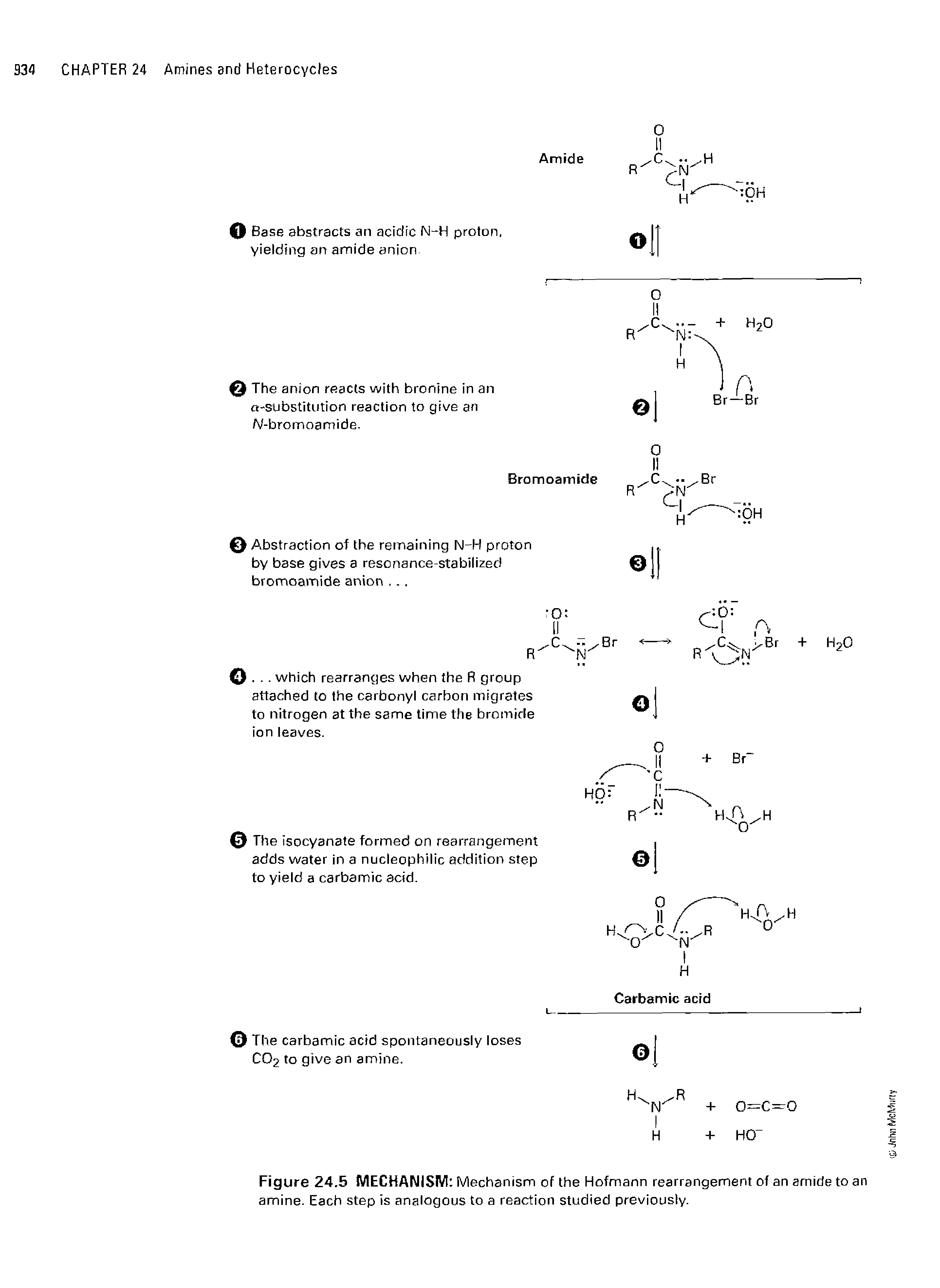 Figure 24.5 MECHANISM Mechanism of the Hofmann rearrangement of an amide to an amine. Each step is analogous to a reaction studied previously.