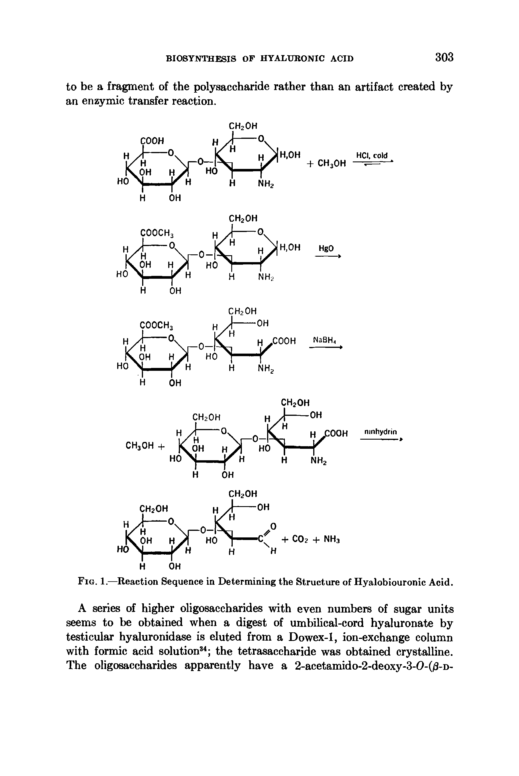 Fig. 1.—Reaction Sequence in Determining the Structure of Hyalobiouronic Acid.