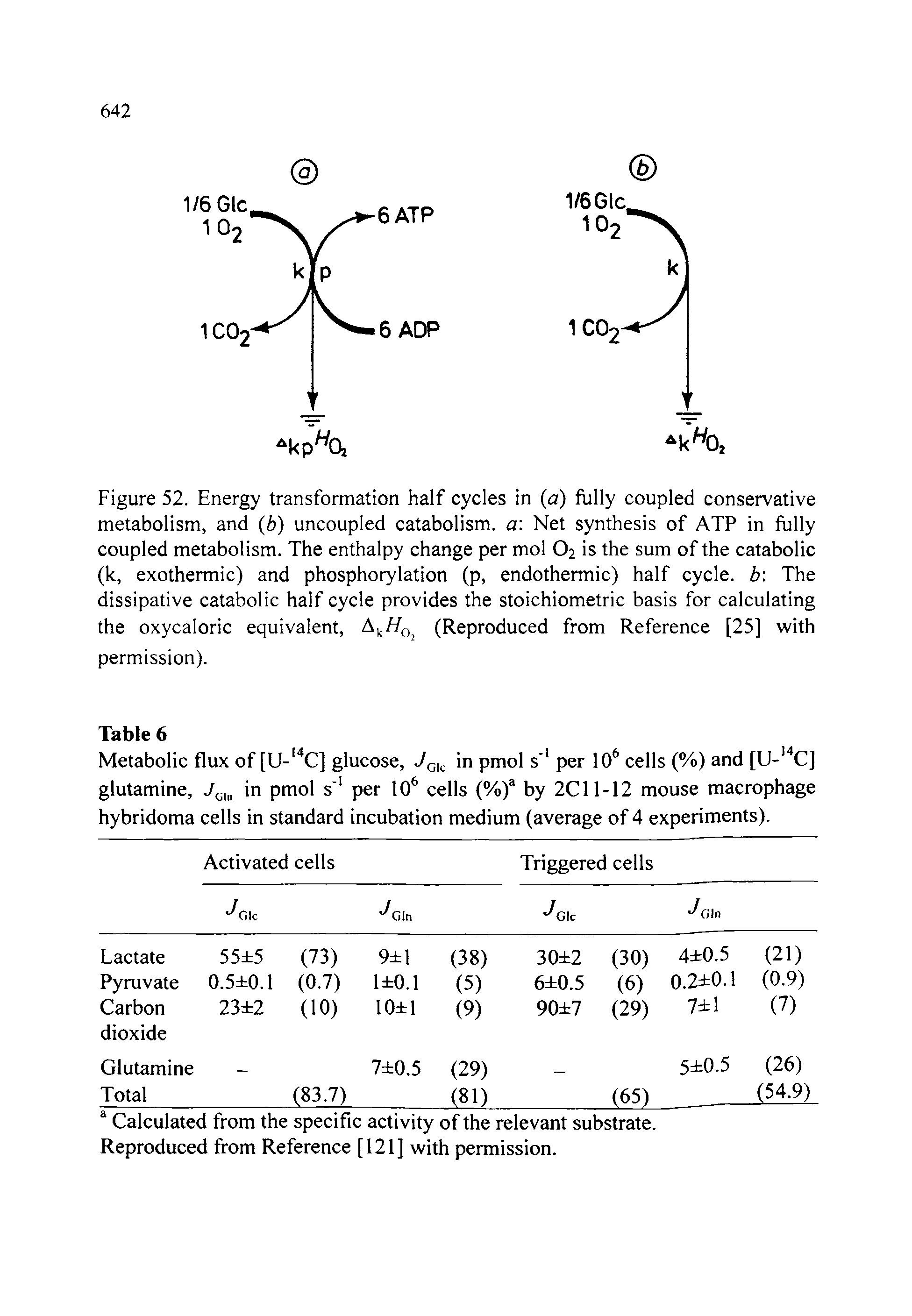 Figure 52. Energy transformation half cycles in (a) fully coupled conservative metabolism, and (b) uncoupled catabolism, a Net synthesis of ATP in fully coupled metabolism. The enthalpy change per mol O2 is the sum of the catabolic (k, exothermic) and phosphorylation (p, endothermic) half cycle, b The dissipative catabolic half cycle provides the stoichiometric basis for calculating the oxycaloric equivalent, (Reproduced from Reference [25] with...