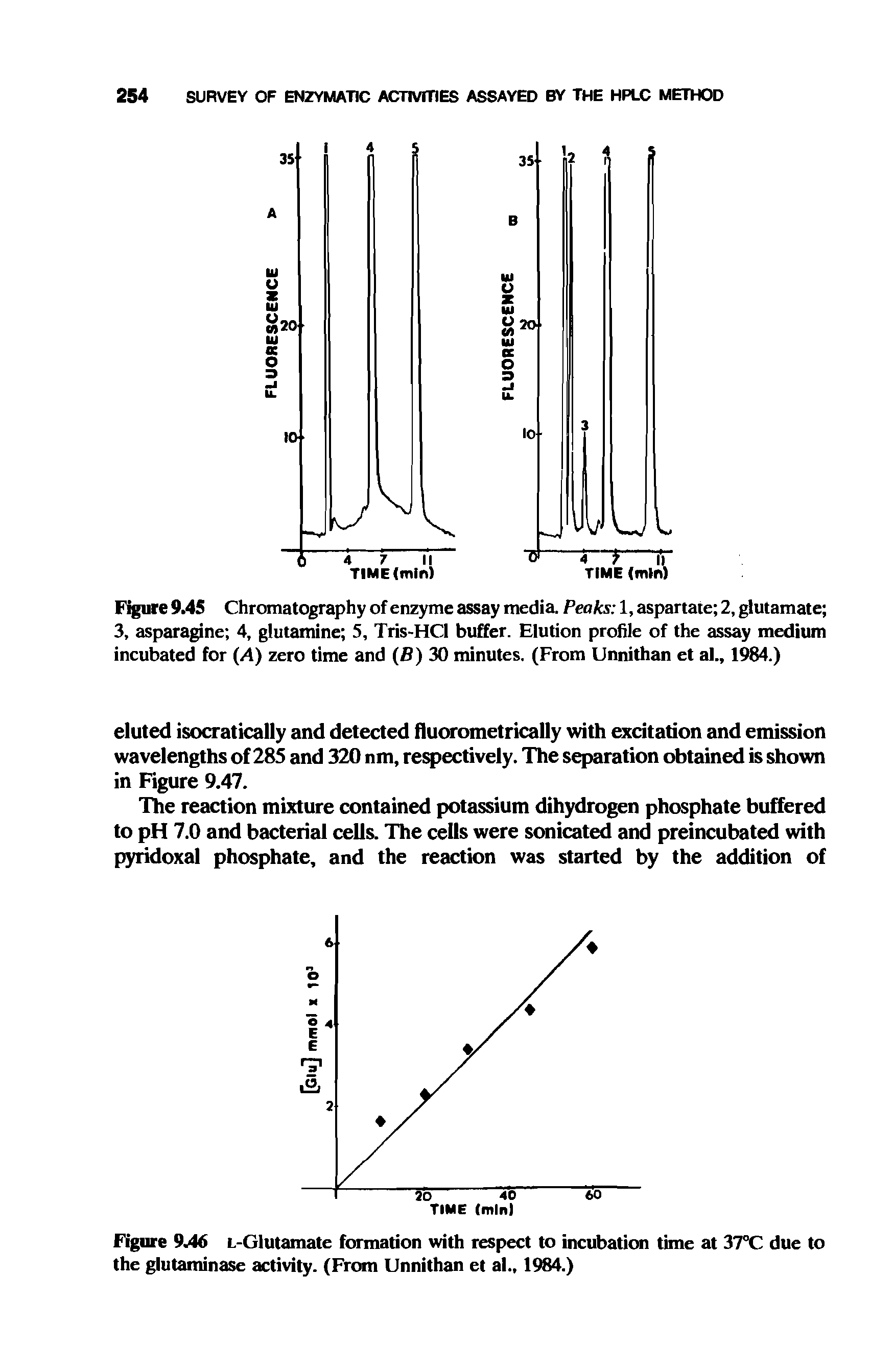 Figure 9.45 Chromatography of enzyme assay media. Peaks 1, aspartate 2, glutamate 3, asparagine 4, glutamine 5, Tris-HCl buffer. Elution profile of the assay medium incubated for (A) zero time and (fl) 30 minutes. (From Unnithan et al., 1984.)...