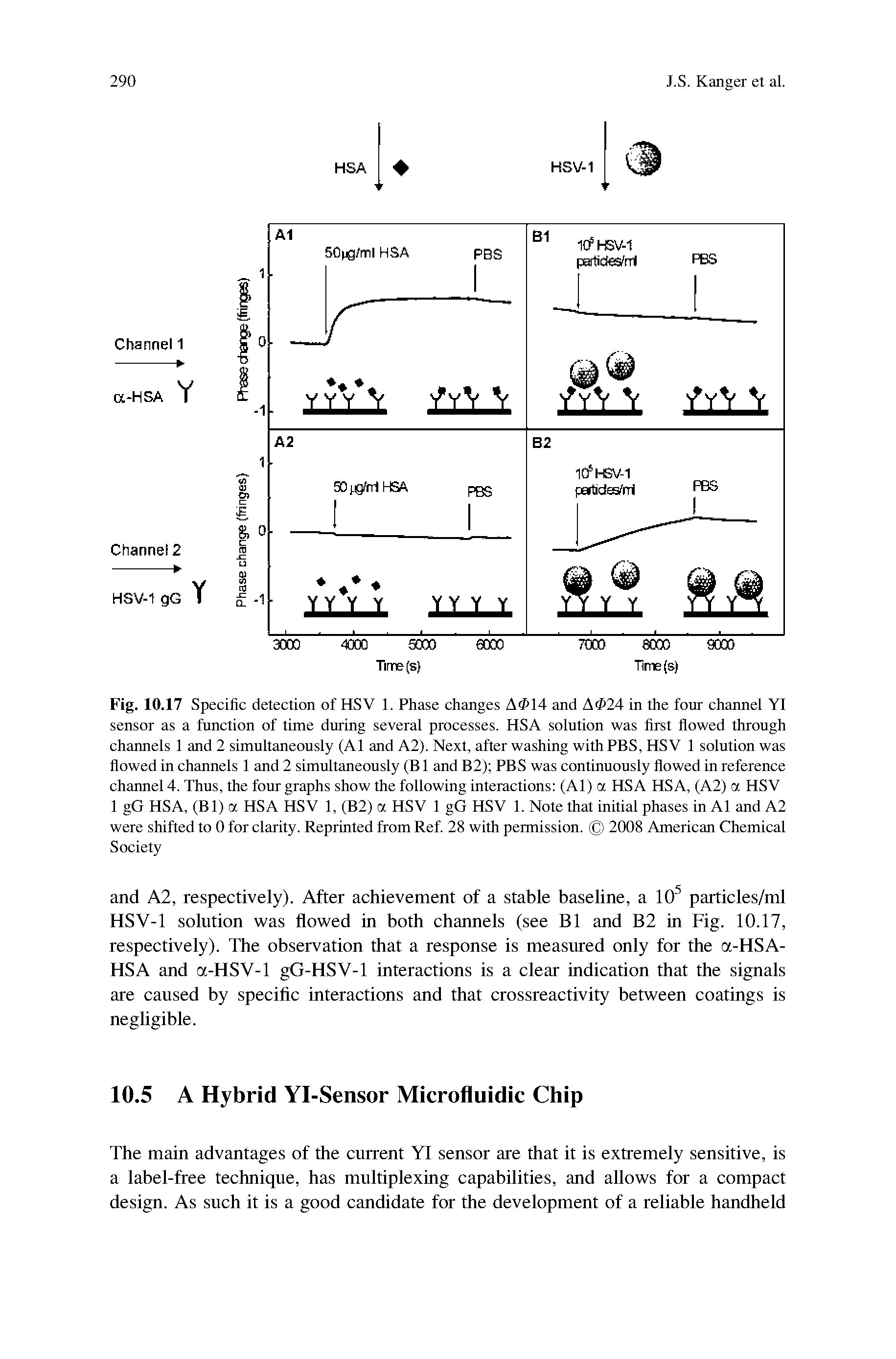 Fig. 10.17 Specific detection of HSV 1. Phase changes A<P14 and A 24 in the four channel YI sensor as a function of time during several processes. HSA solution was first flowed through channels 1 and 2 simultaneously (Al and A2). Next, after washing with PBS, HSV 1 solution was flowed in channels 1 and 2 simultaneously (B1 and B2) PBS was continuously flowed in reference channel 4. Thus, the four graphs show the following interactions (Al) a HSA HSA, (A2) a HSV 1 gG HSA, (Bl) a HSA HSV 1, (B2) a HSV 1 gG HSV 1. Note that initial phases in Al and A2 were shifted to 0 for clarity. Reprinted from Ref. 28 with permission. 2008 American Chemical Society...