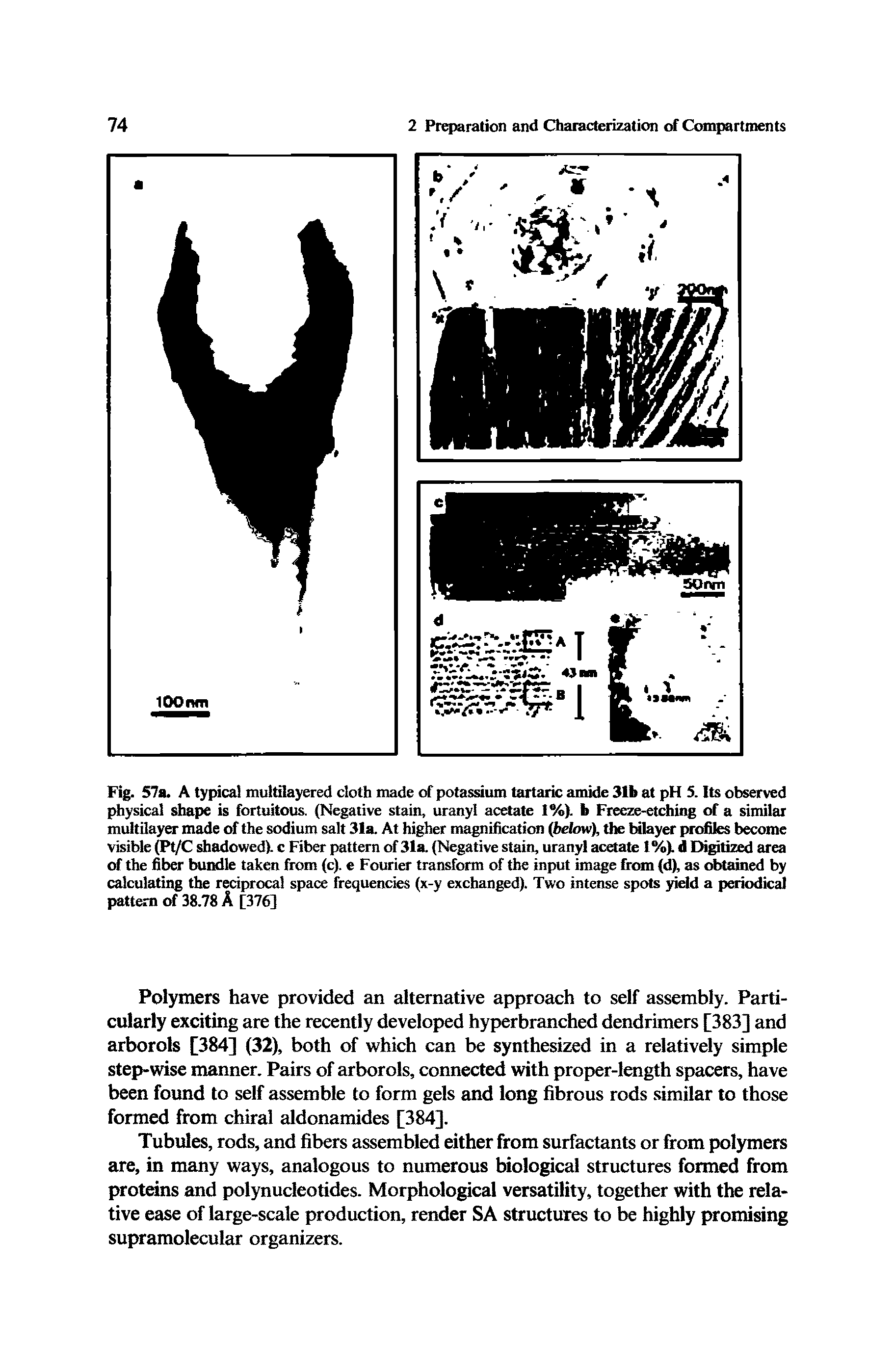 Fig. 57a. A typical multilayered cloth made cf potassium tartaric amide 31b at pH 5. Its observed physical shape is fortuitous. (Negative stain, uranyl acetate 1%). b Freeze-etching erf a similar multilayer made of the sodium salt 31a. At higher magnification (below), the bilayer profiles become visible (Pt/C shadowed), c Fiber pattern of 31a. (Negative stain, uranyl acetate 1%). d Digitized area of the fiber bundle taken from (c). e Fourier transform of the input image from (d), as obtained by calculating the reciprocal space frequencies (x-y exchanged). Two intense spots yield a periodical pattern of 38.78 A [376]...