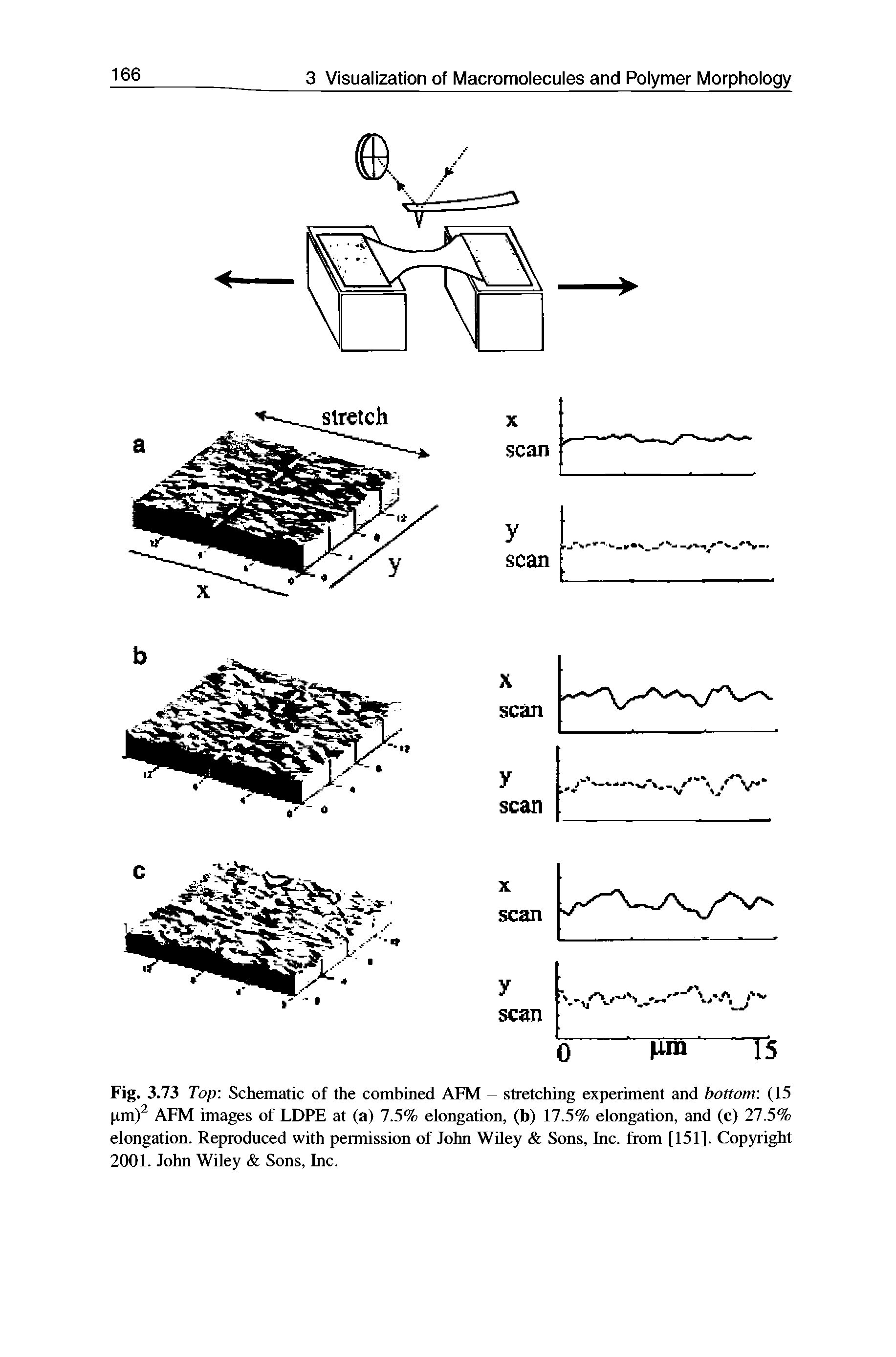 Fig. 3.73 Top Schematic of the combined AFM - stretching experiment and bottom (15 pm)2 AFM images of LDPE at (a) 1.5% elongation, (b) 17.5% elongation, and (c) 27.5% elongation. Reproduced with permission of John Wiley Sons, Inc. from [151]. Copyright 2001. John Wiley Sons, Inc.