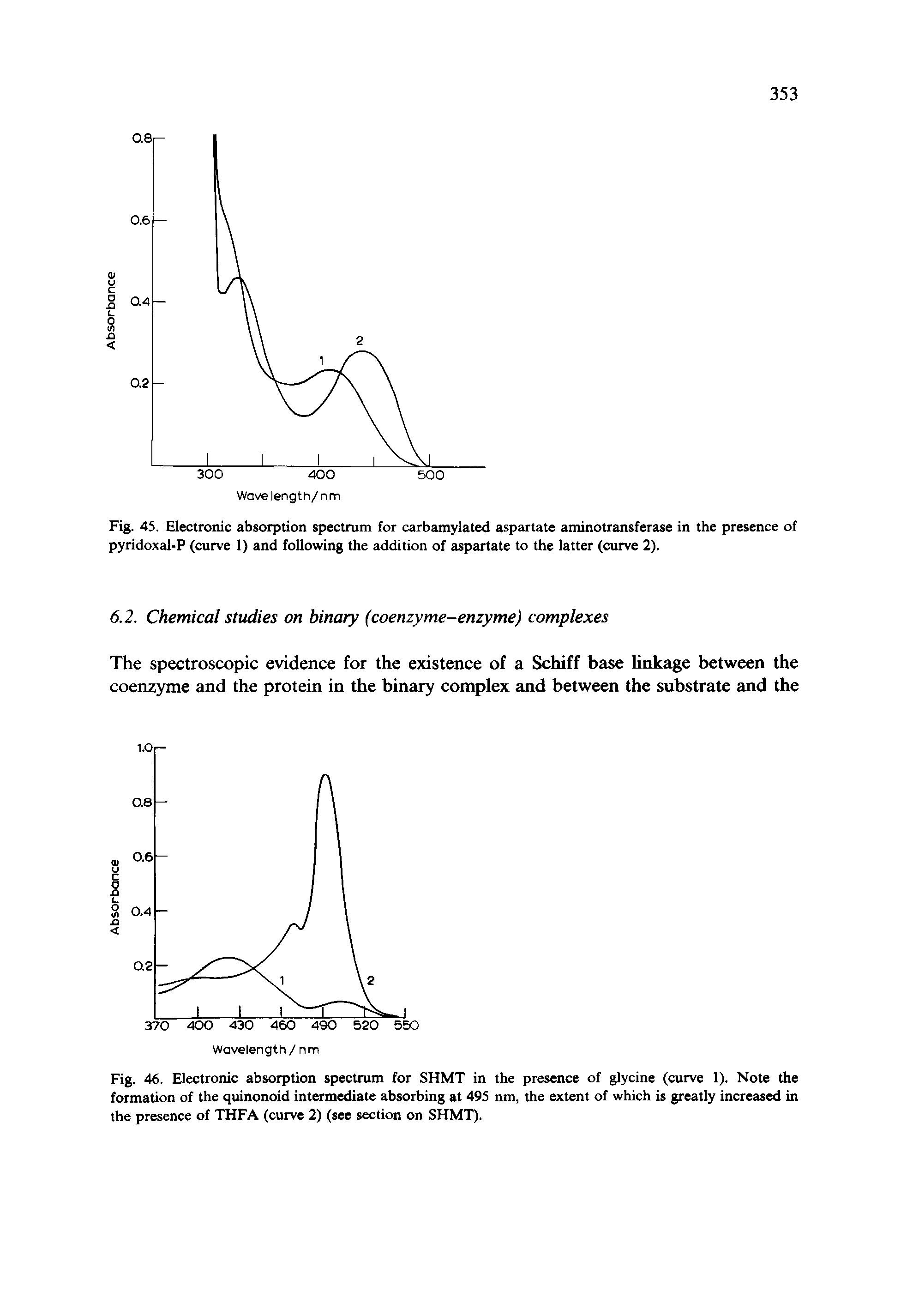 Fig. 45. Electronic absorption spectrum for carbamylated aspartate aminotransferase in the presence of pyridoxal-P (curve 1) and following the addition of aspartate to the latter (curve 2).