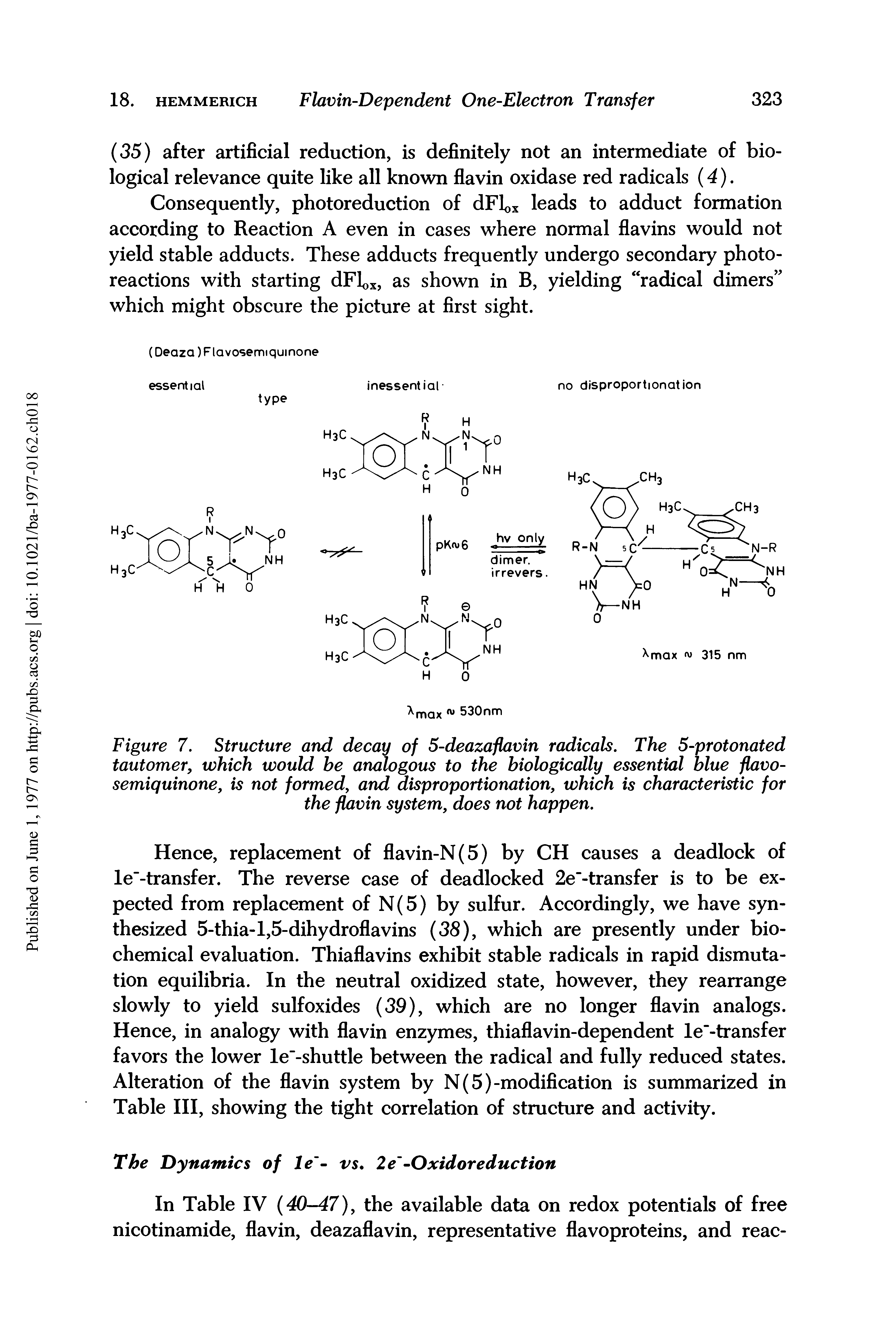 Figure 7. Structure and decay of 5-deazaflavin radicals. The 5-protonated tautomer, which would be analogous to the biologically essential blue flavo-semiquinone, is not formed, and disproportionation, which is characteristic for the flavin system, does not happen.