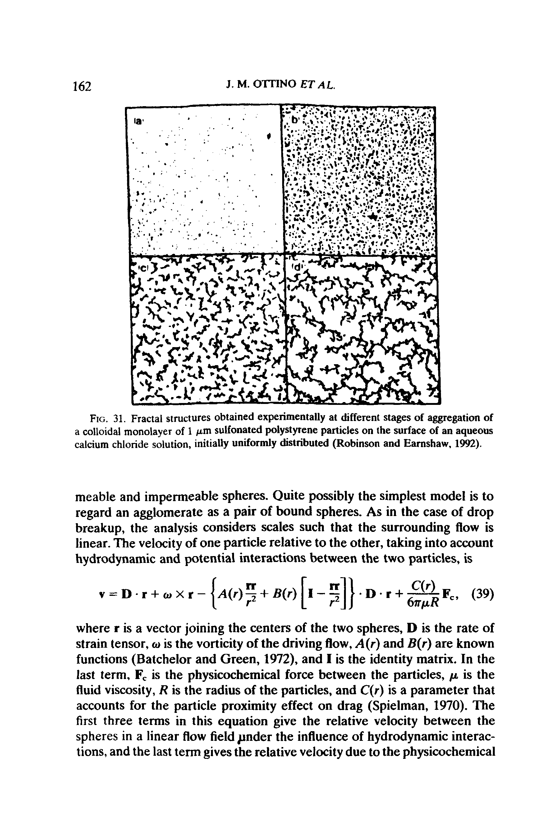 Fig. 31. Fractal structures obtained experimentally at different stages of aggregation of a colloidal monolayer of 1 /im sulfonated polystyrene particles on the surface of an aqueous calcium chloride solution, initially uniformly distributed (Robinson and Earnshaw, 1992).