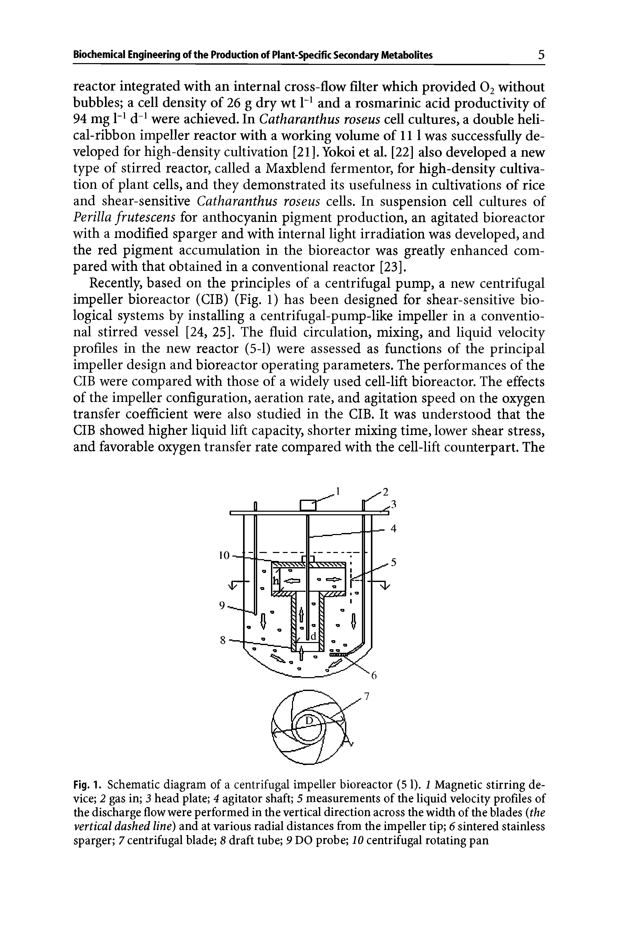 Fig. 1. Schematic diagram of a centrifugal impeller bioreactor (5 1). 1 Magnetic stirring device 2 gas in 3 head plate 4 agitator shaft 5 measurements of the liquid velocity profiles of the discharge flow were performed in the vertical direction across the width of the blades (the vertical dashed line) and at various radial distances from the impeller tip 6 sintered stainless sparger 7 centrifugal blade 8 draft tube 9 DO probe 10 centrifugal rotating pan...