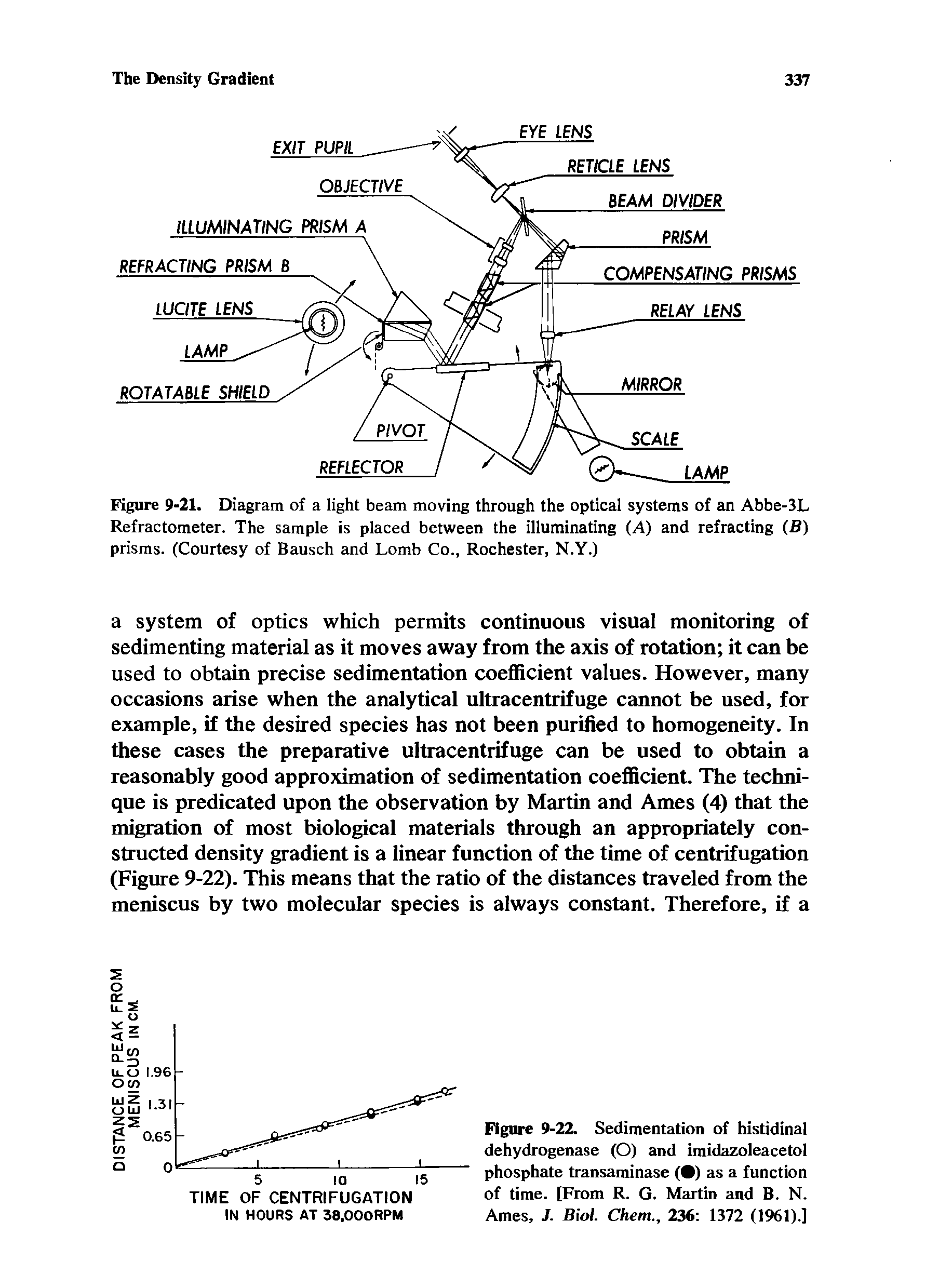 Figure 9-22. Sedimentation of histidinal dehydrogenase (O) and imidazoleacetol phosphate transaminase (9) as a function of time. [From R. G. Martin and B. N. Ames, J. Biol. Chem., 236 1372 (1961).]...