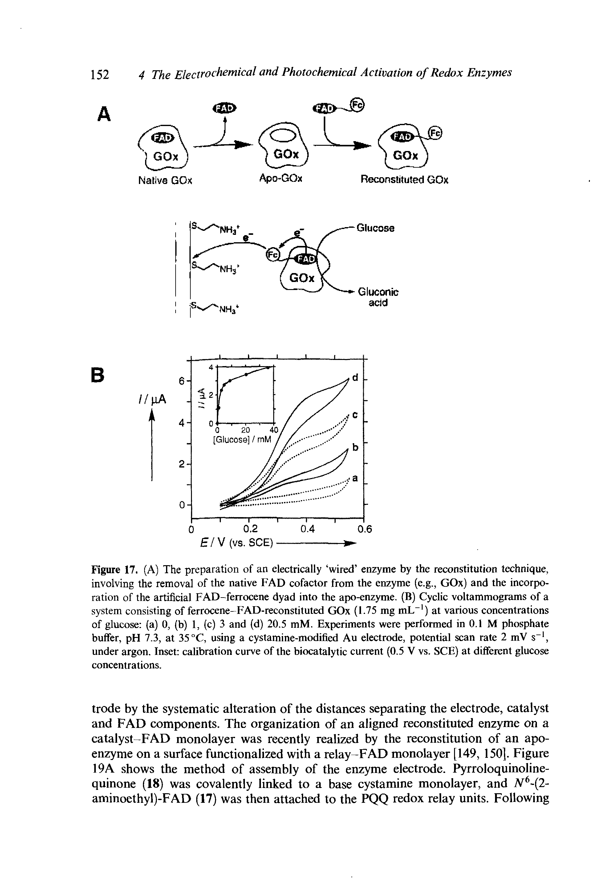 Figure 17. (A) The preparation of an electrically wired enzyme by the reconstitution technique, involving the removal of the native FAD cofactor from the enzyme (e.g., GOx) and the incorporation of the artificial FAD-ferrocene dyad into the apo-enzyme. (B) Cyclic voltammograms of a system consisting of ferrocene-FAD-reconstituted GOx (1.75 mg mL ) at various concentrations of glucose (a) 0, (b) 1, (c) 3 and (d) 20.5 mM. Experiments were performed in 0.1 M phosphate buffer, pH 7.3, at 35 C, using a cystamine-modified Au electrode, potential scan rate 2 mV s , under argon. Inset calibration curve of the biocatalytic current (0.5 V vs. SCE) at different glucose concentrations.