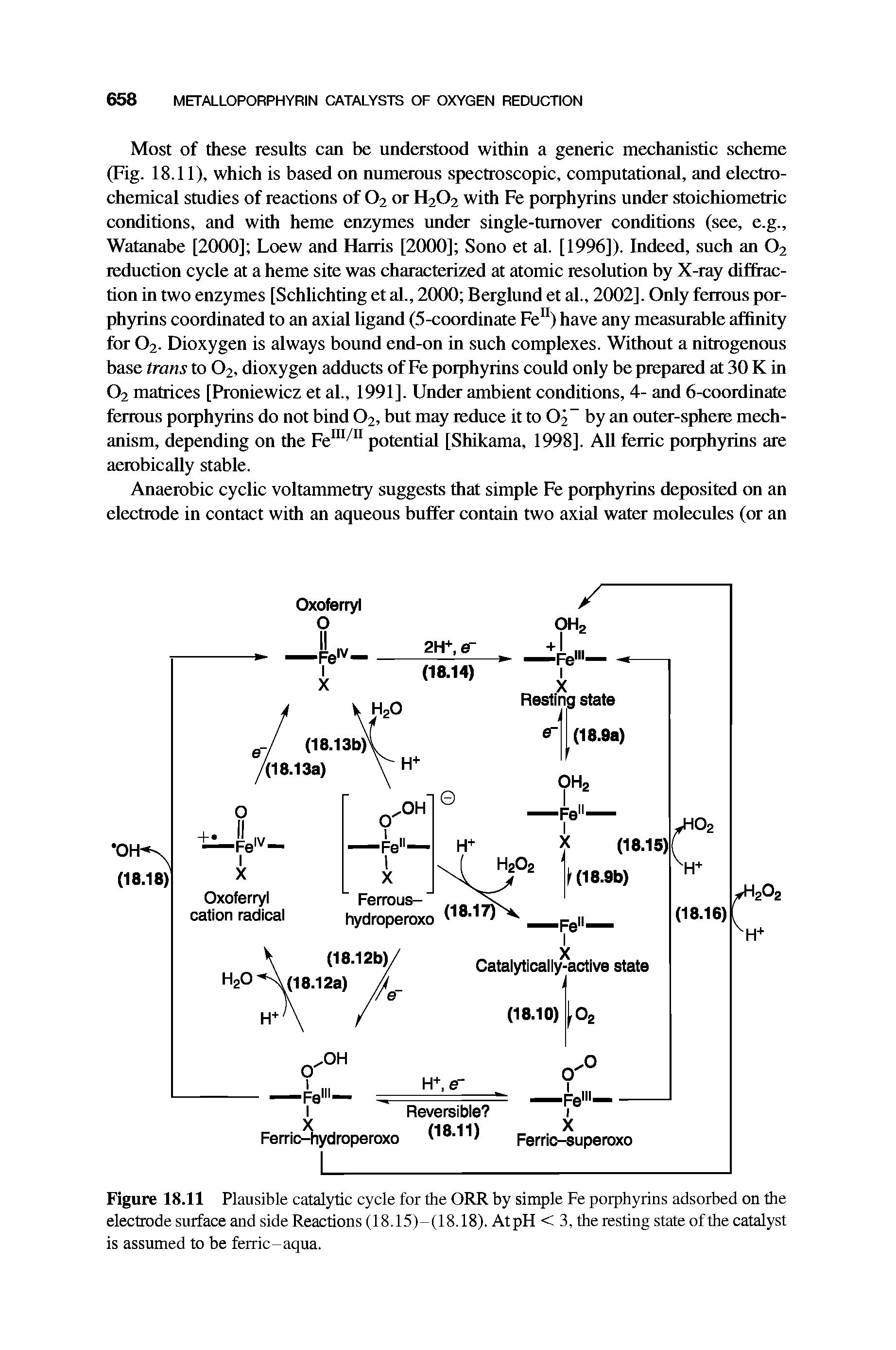 Figure 18.11 Plausible catalytic cycle for the ORR by simple Fe porphyrins adsorbed on the electrode surface and side Reactions (18.15)-(18.18). At pH < 3, the resting state of the catalyst is assumed to be ferric-aqua.