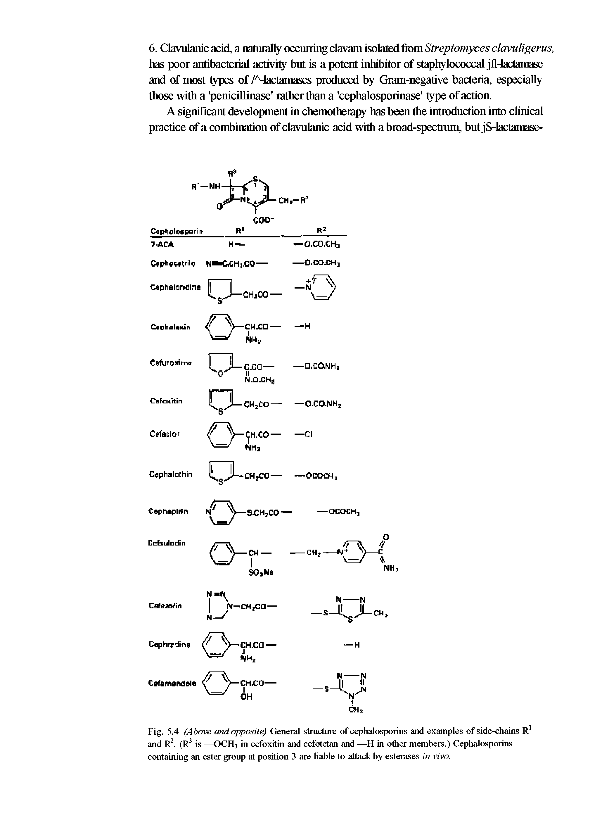 Fig. 5.4 (Above and opposite) General structure of cephalosporins and examples of side-chains R and R. (R is —OCH3 in cefoxitin and cefotetan and —H in other members.) Cephalosporins containing an ester group at position 3 are liable to attack by esterases in vivo.