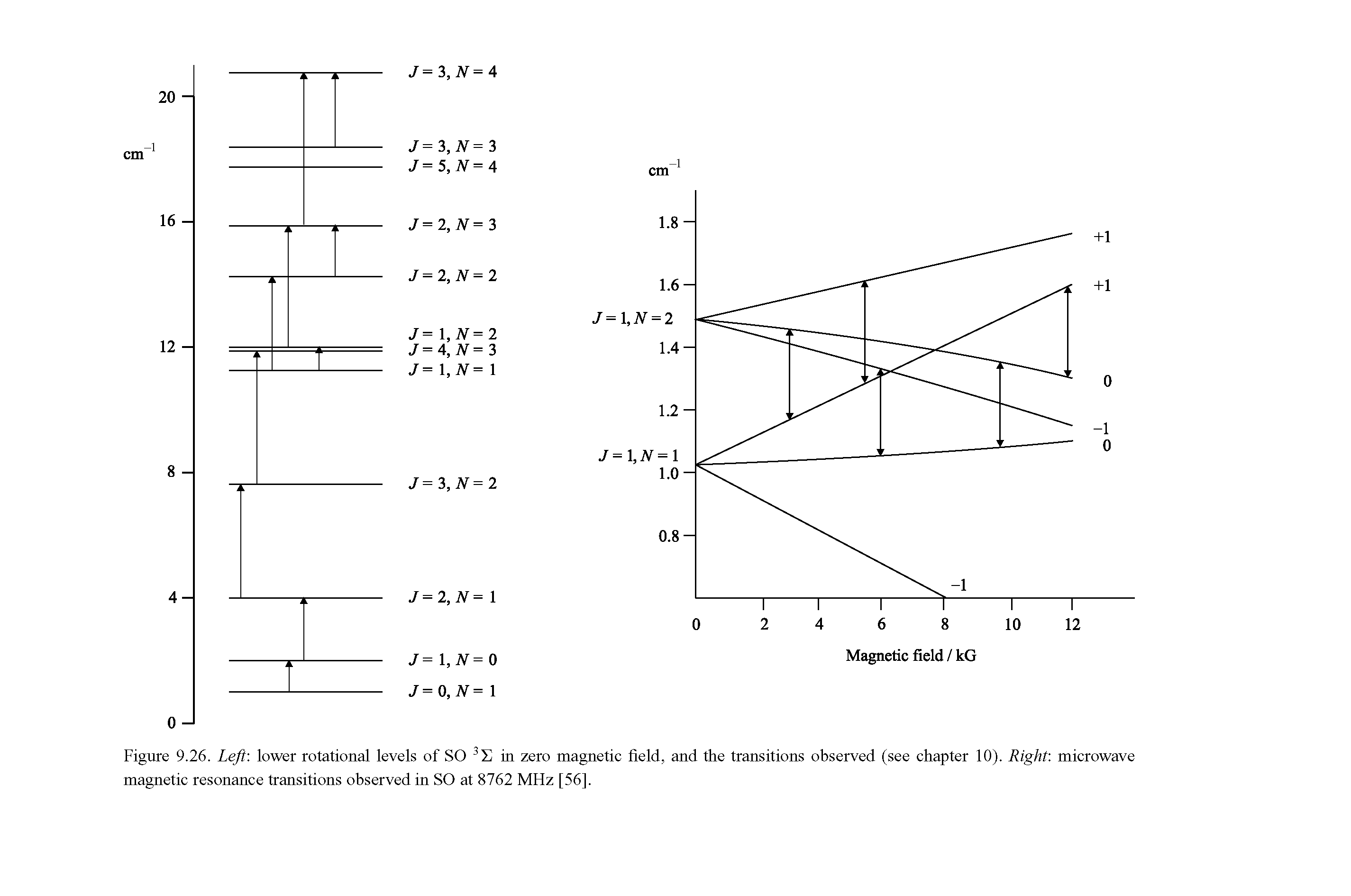 Figure 9.26. Left lower rotational levels of SO 3 in zero magnetic field, and the transitions observed (see chapter 10). Right microwave magnetic resonance transitions observed in SO at 8762 MHz [56].