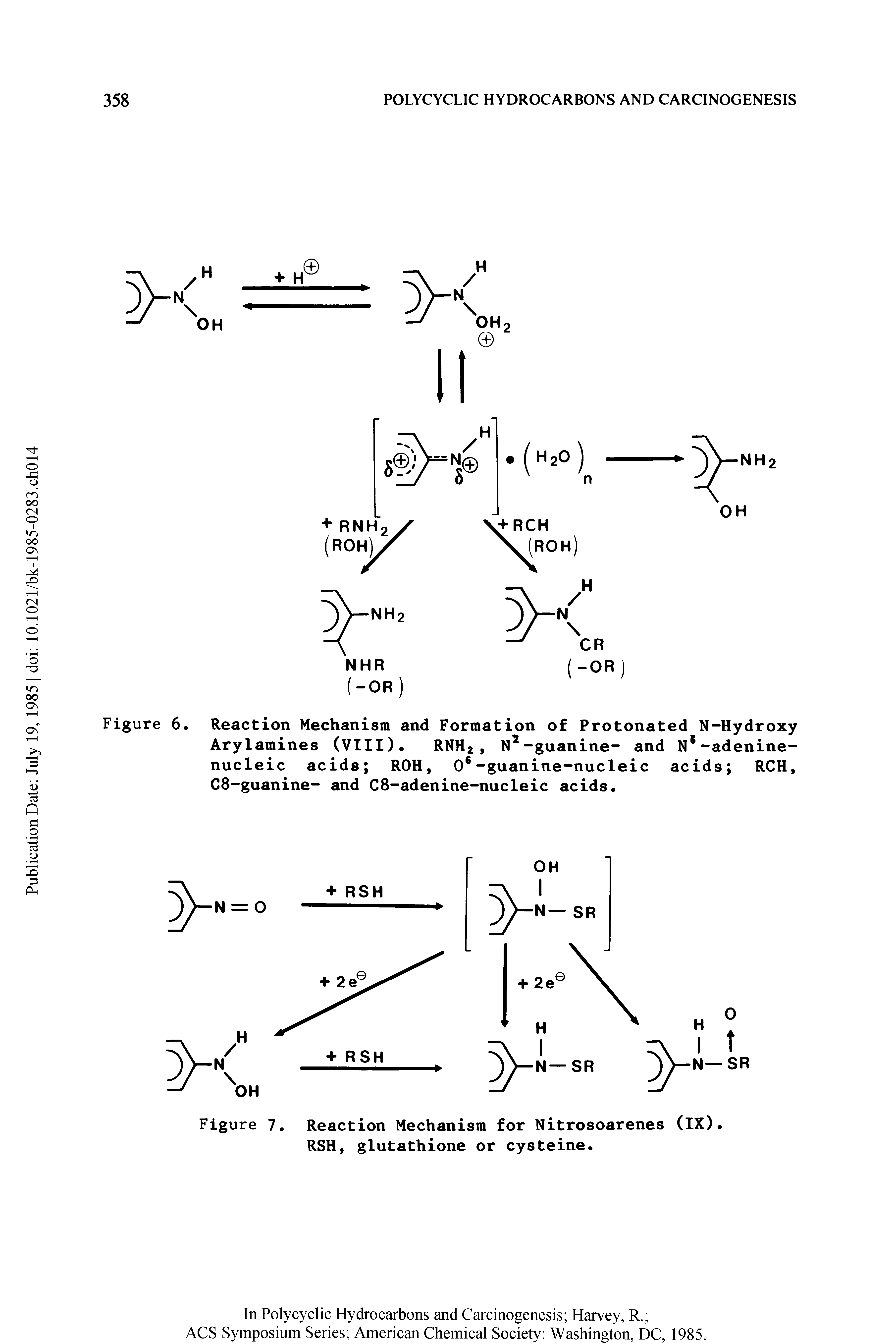 Figure 7. Reaction Mechanism for Nitrosoarenes (IX). RSH, glutathione or cysteine.