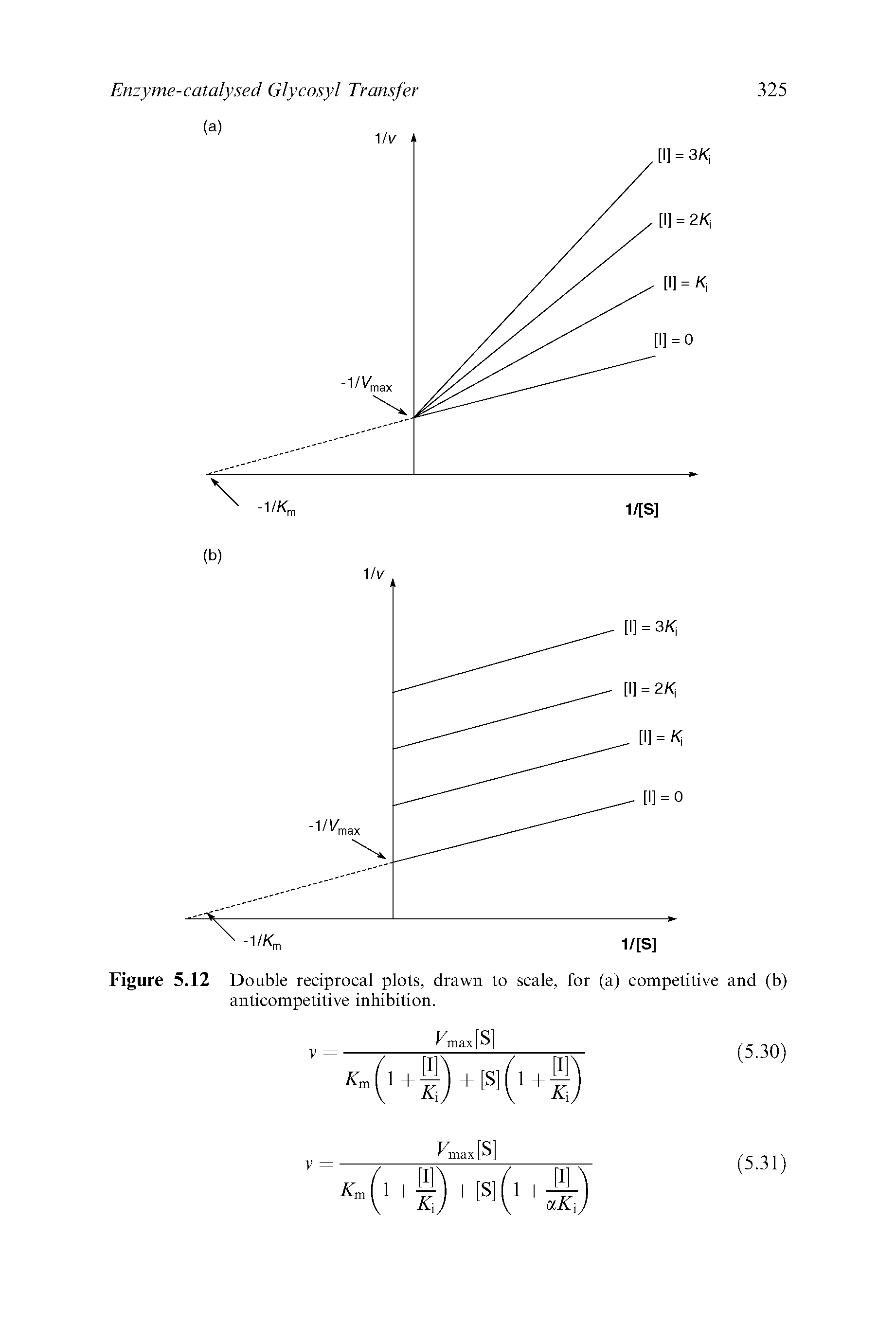 Figure 5.12 Double reciprocal plots, drawn to scale, for (a) competitive and (b) anticompetitive inhibition.