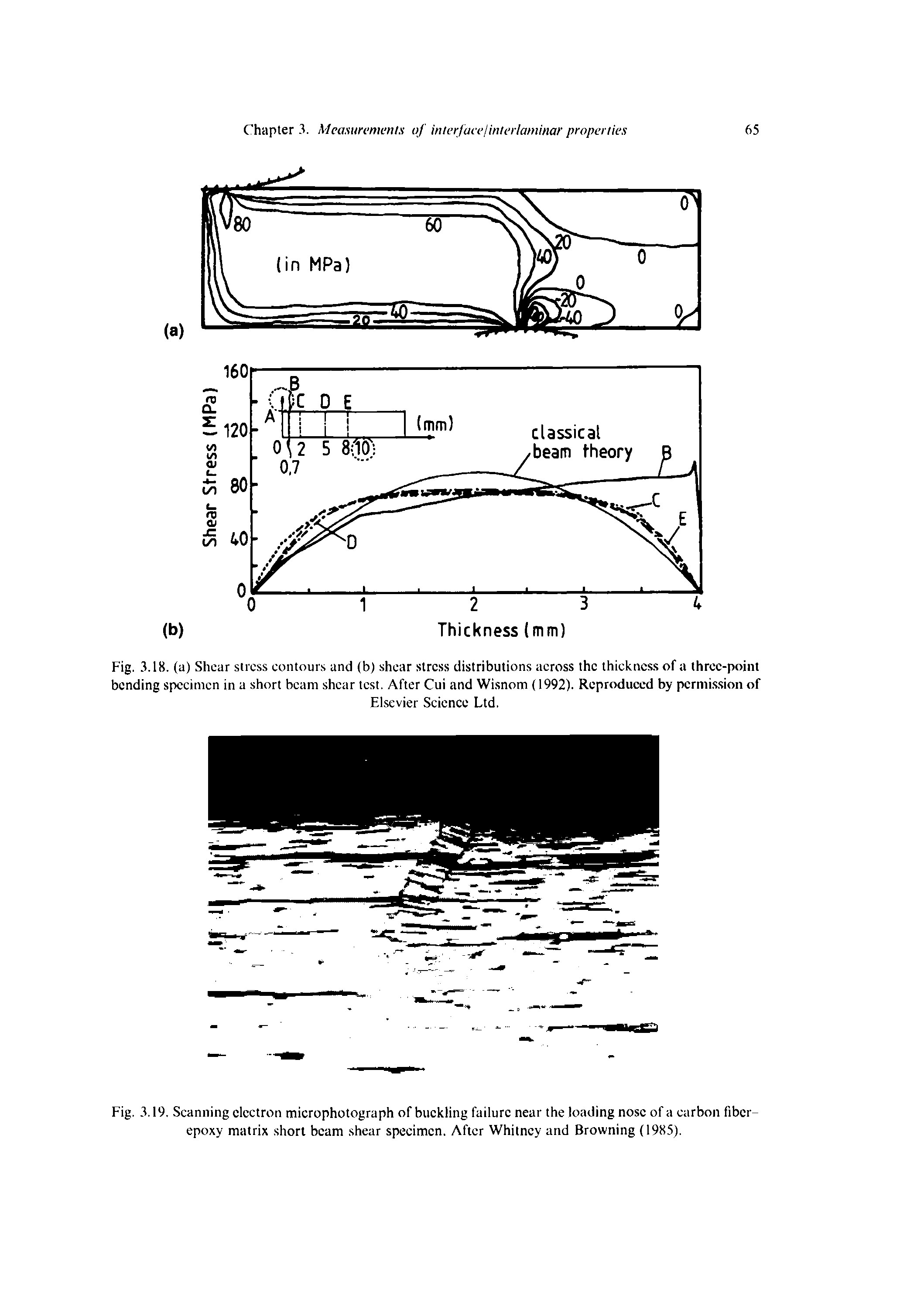 Fig. 3.19. Scanning electron microphotograph of buckling failure near the loading nose of a carbon fiber-epoxy matrix short beam shear specimen. After Whitney and Browning (1985).