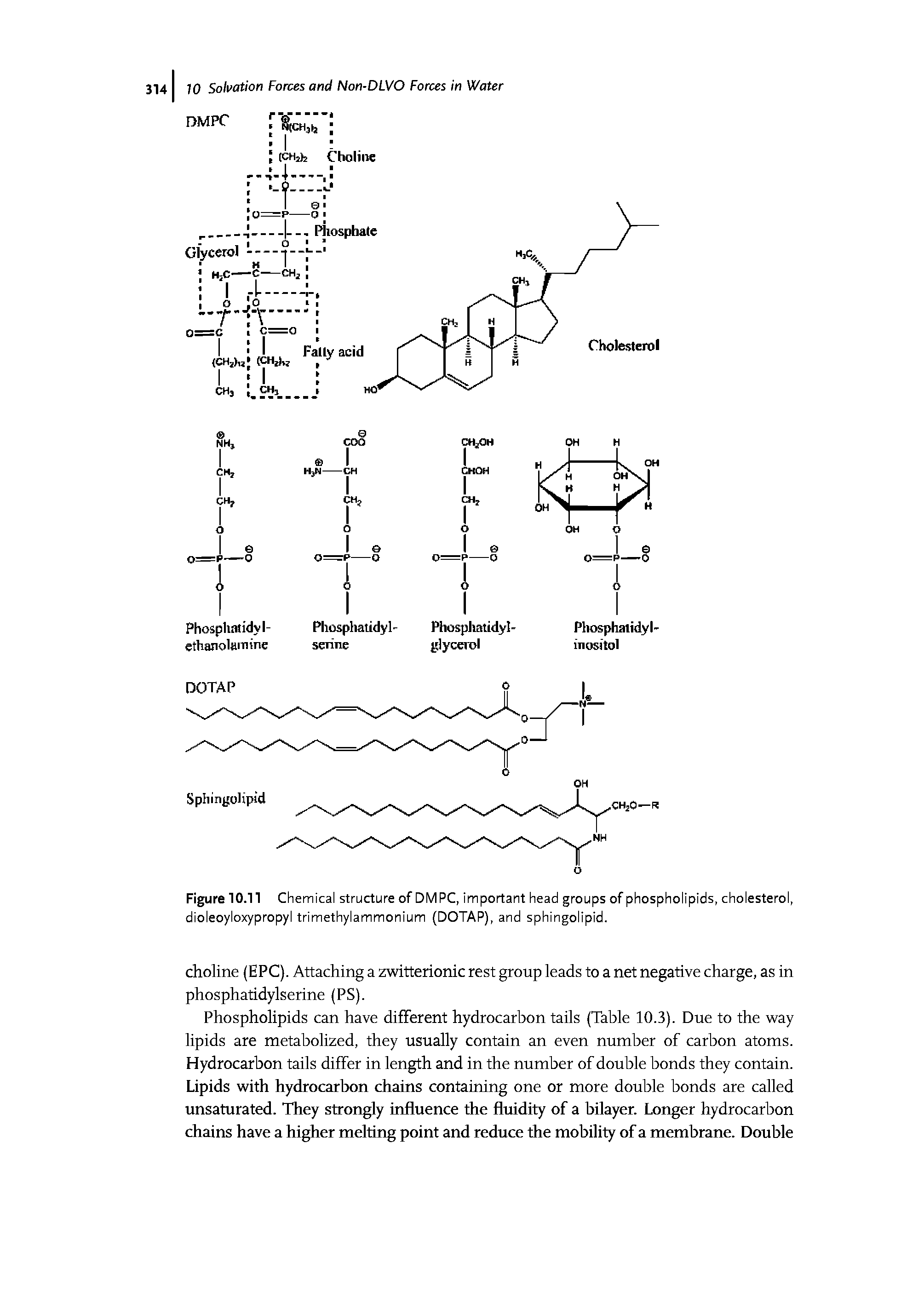 Figure 10.11 Chemical structure of DM PC, important head groups of phospholipids, cholesterol, dioleoyloxypropyl trimethylammonium (DOTAP), and sphingolipid.