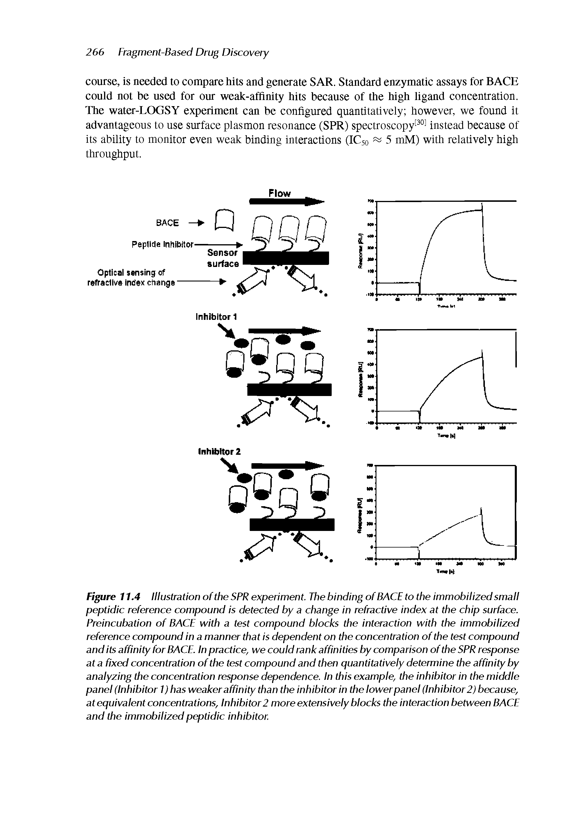 Figure 11.4 Illustration of the SPR experiment. The binding of BACE to the immobilized small peptidic reference compound is detected by a change in refractive index at the chip surface. Preincubation of BACE with a test compound blocks the interaction with the immobilized reference compound in a manner that is dependent on the concentration of the test compound and its affinity for BACE. In practice, we could rank affinities by comparison of the SPR response at a fixed concentration of the test compound and then quantitatively determine the affinity by analyzing the concentration response dependence. In this example, the inhibitor in the middle panel (Inhibitor 1) has weaker affinity than the inhibitor in the lower panel (Inhibitor 2) because, at equivalent concentrations, Inhibitor 2 more extensively blocks the interaction between BACE and the immobilized peptidic inhibitor.