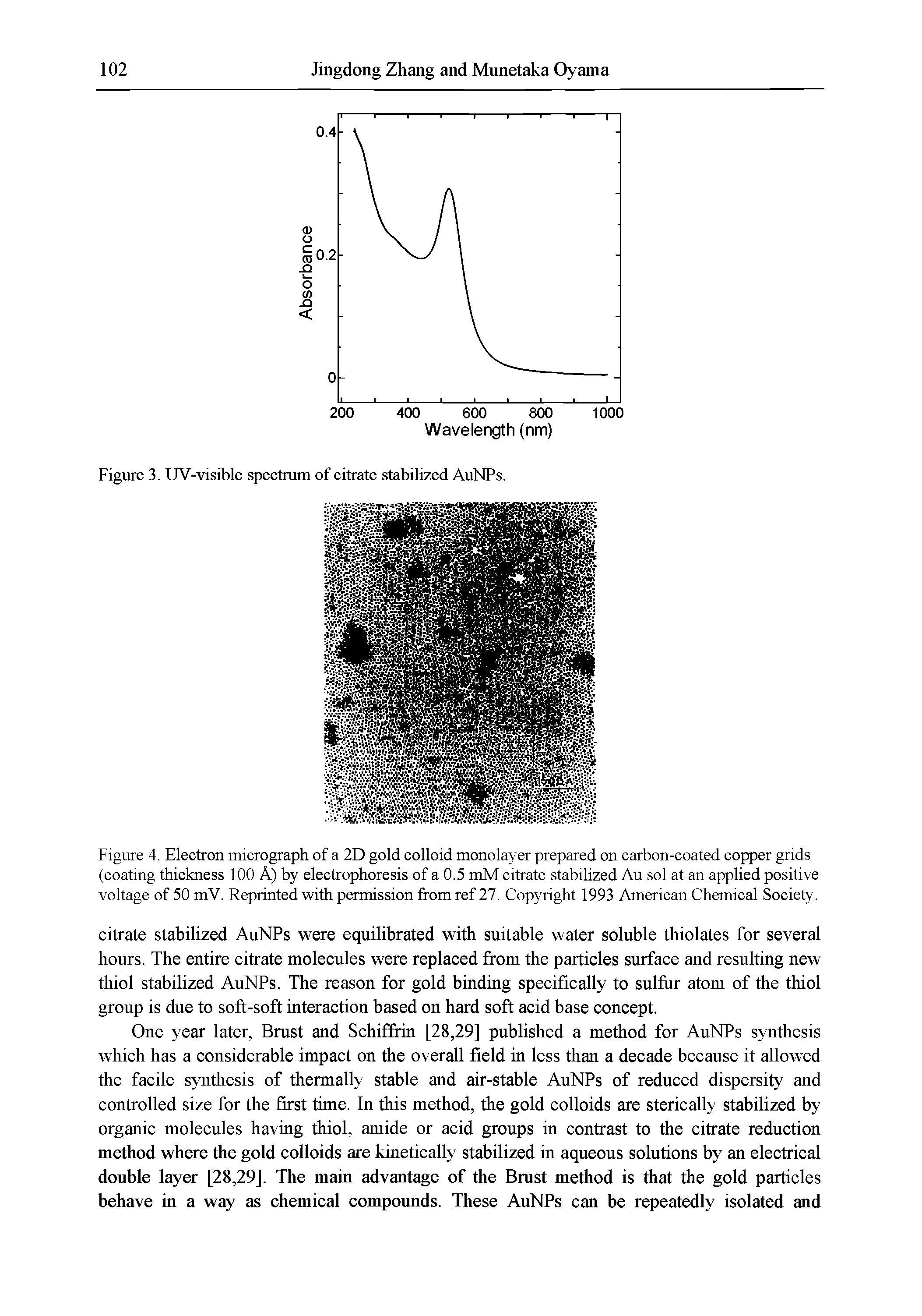 Figure 4. Electron micrograph of a 2D gold colloid monolayer prepared on carbon-coated copper grids (coating thickness 100 A) by electrophoresis of a 0.5 mM citrate stabilized Au sol at an applied positive voltage of 50 mV. Reprinted with permission from ref 27. Copyright 1993 American Chemical Society.
