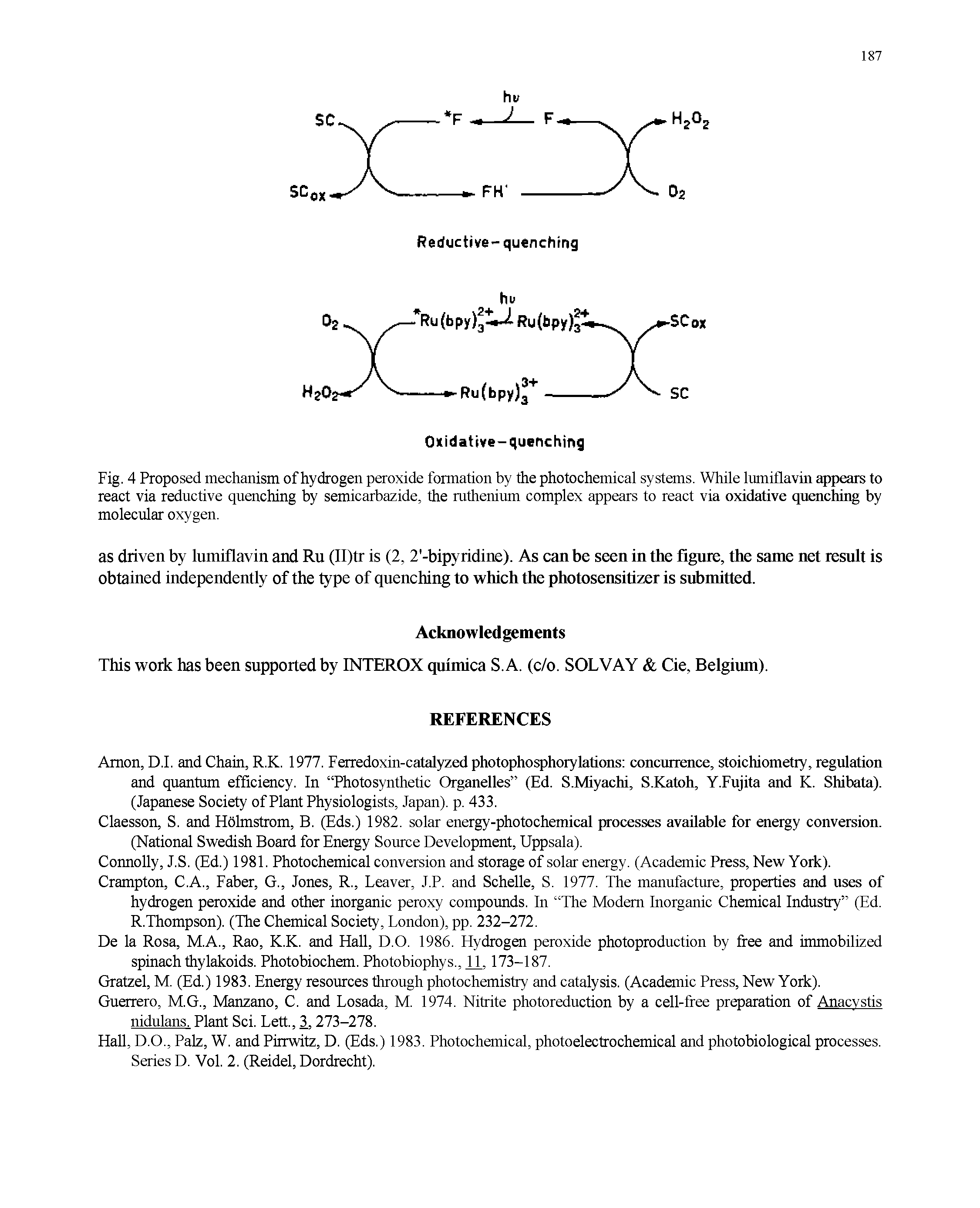 Fig. 4 Proposed mechanism of hydrogen peroxide formation by the photochemical systems. While lumiflavin appears to react via reductive quenching by semicarbazide, the ruthenium complex appears to react via oxidative quenching by molecular oxygen.