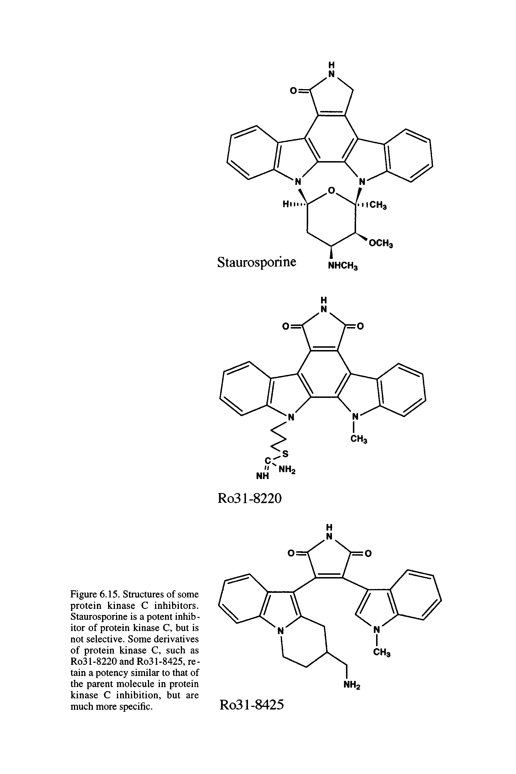 Figure 6.15. Structures of some protein kinase C inhibitors. Staurosporine is a potent inhibitor of protein kinase C, but is not selective. Some derivatives of protein kinase C, such as Ro31-8220 and Ro31-8425, retain a potency similar to that of the parent molecule in protein kinase C inhibition, but are much more specific.