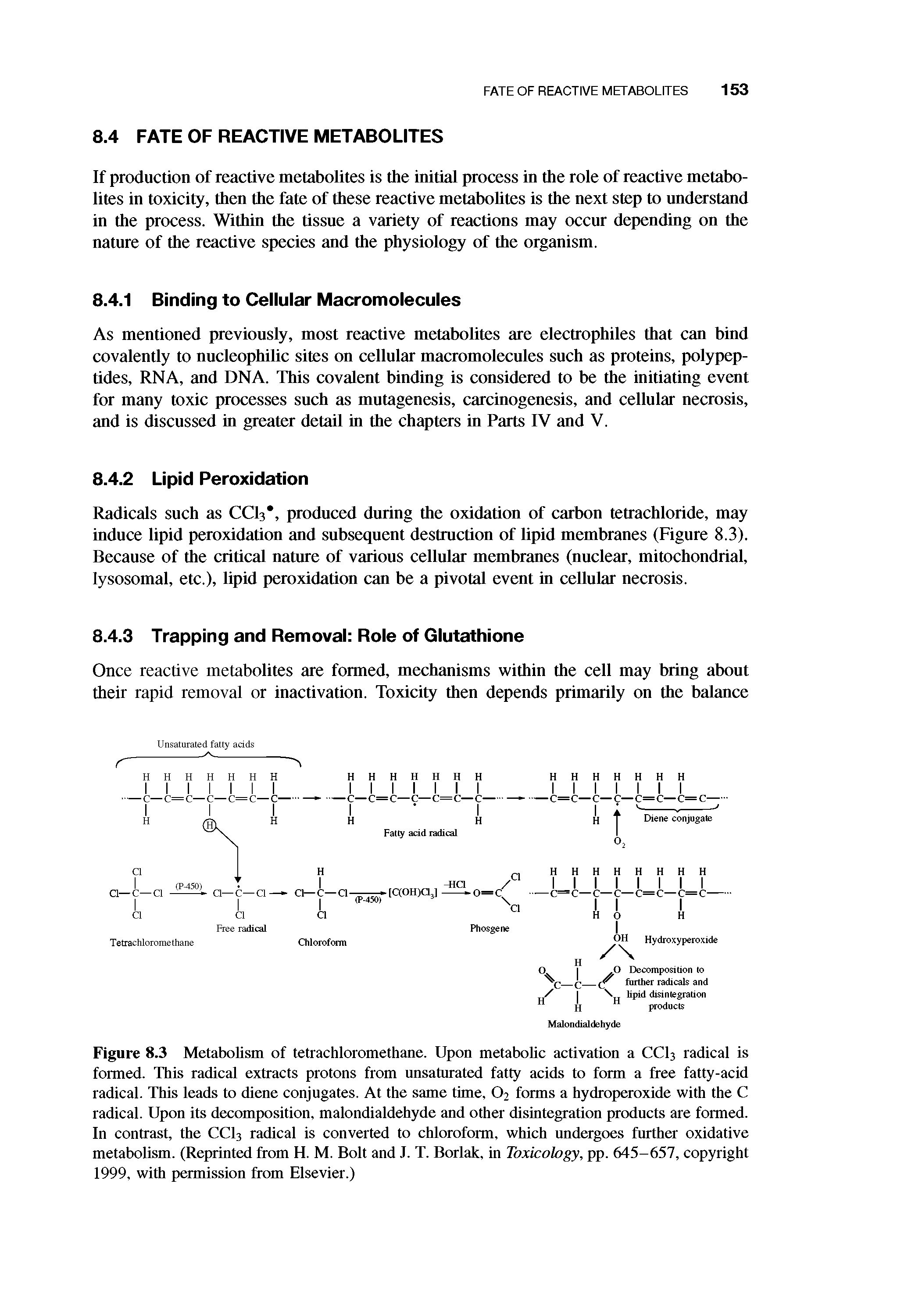 Figure 8.3 Metabolism of tetrachloromethane. Upon metabolic activation a CCI3 radical is formed. This radical extracts protons from unsaturated fatty acids to form a free fatty-acid radical. This leads to diene conjugates. At the same time, O2 forms a hydroperoxide with the C radical. Upon its decomposition, malondialdehyde and other disintegration products are formed. In contrast, the CC13 radical is converted to chloroform, which undergoes further oxidative metabolism. (Reprinted from H. M. Bolt and J. T. Borlak, in Toxicology, pp. 645-657, copyright 1999, with permission from Elsevier.)...
